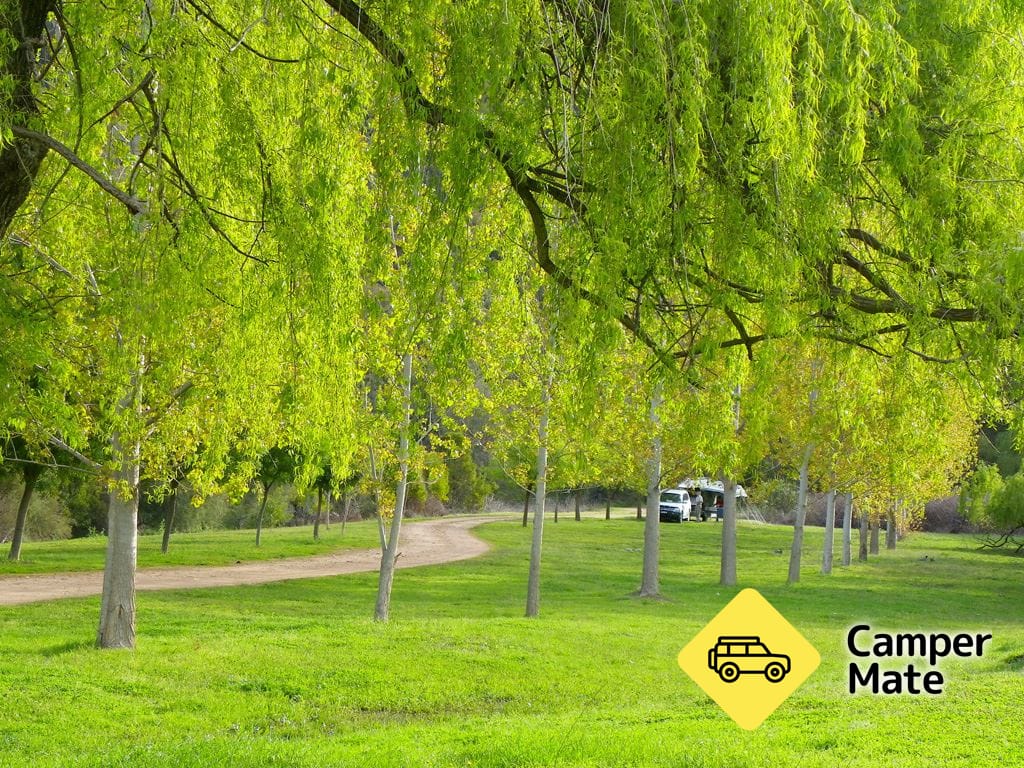 Wee Jasper reserva sitios de camping