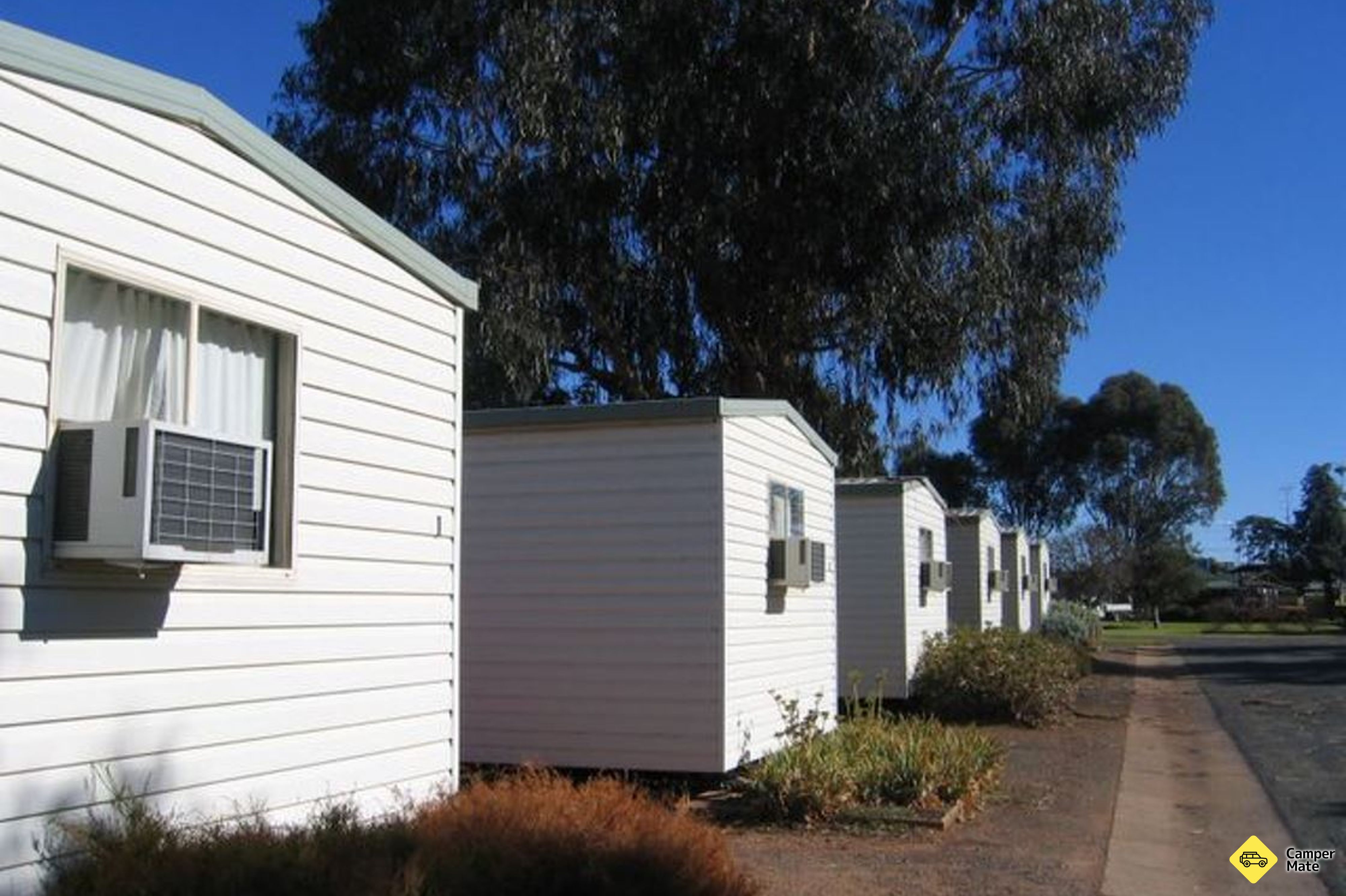 Activiteiten in de omgeving van West Wyalong Caravan Park