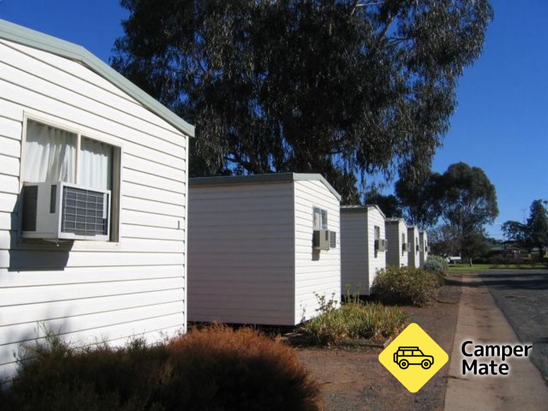 Activiteiten in de omgeving van West Wyalong Caravan Park