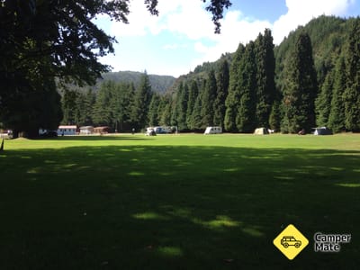 Reefton Domain tábor