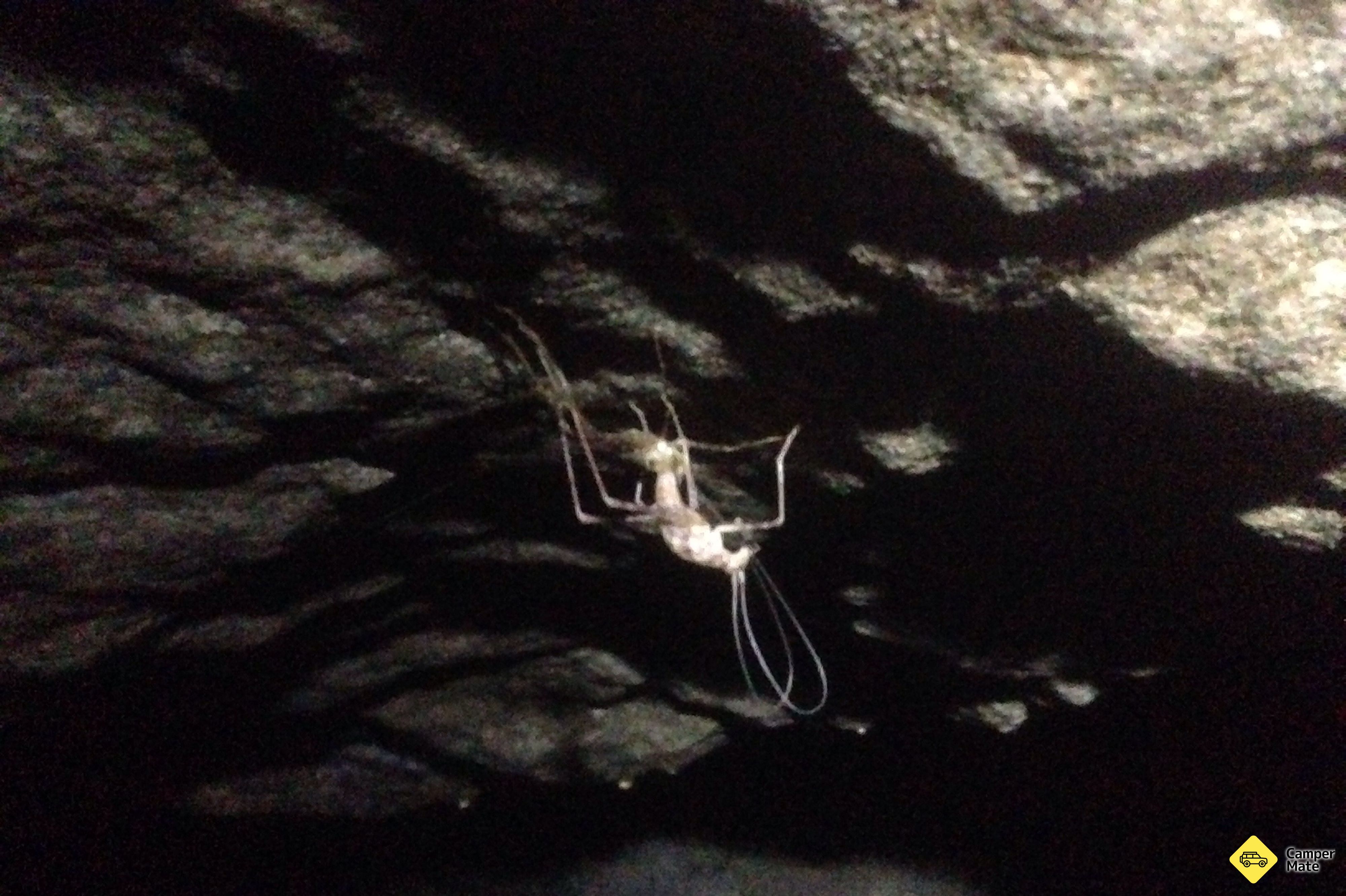 Okupata Caves Carpark - Image 3