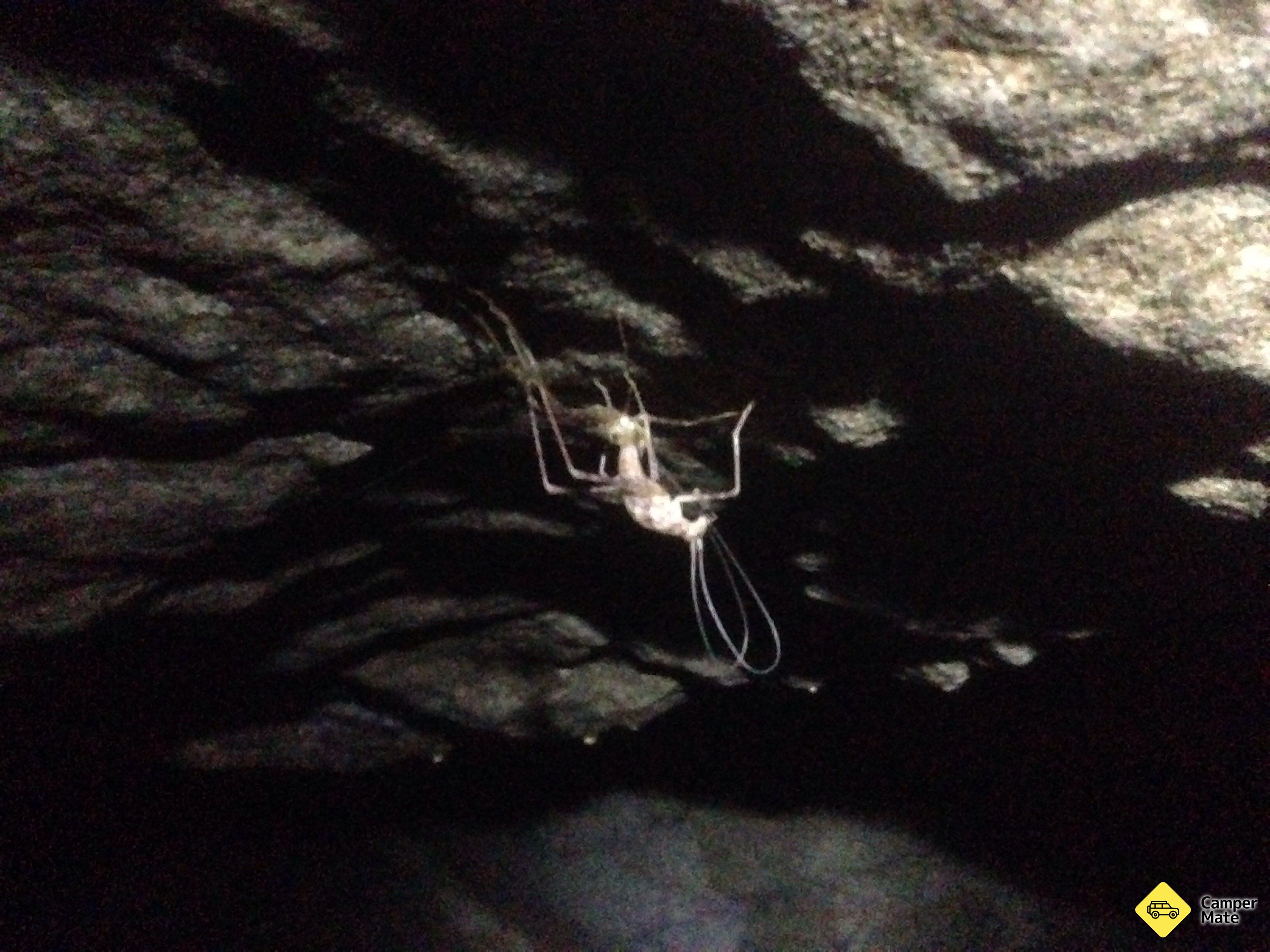 Okupata Caves Carpark - Image 3