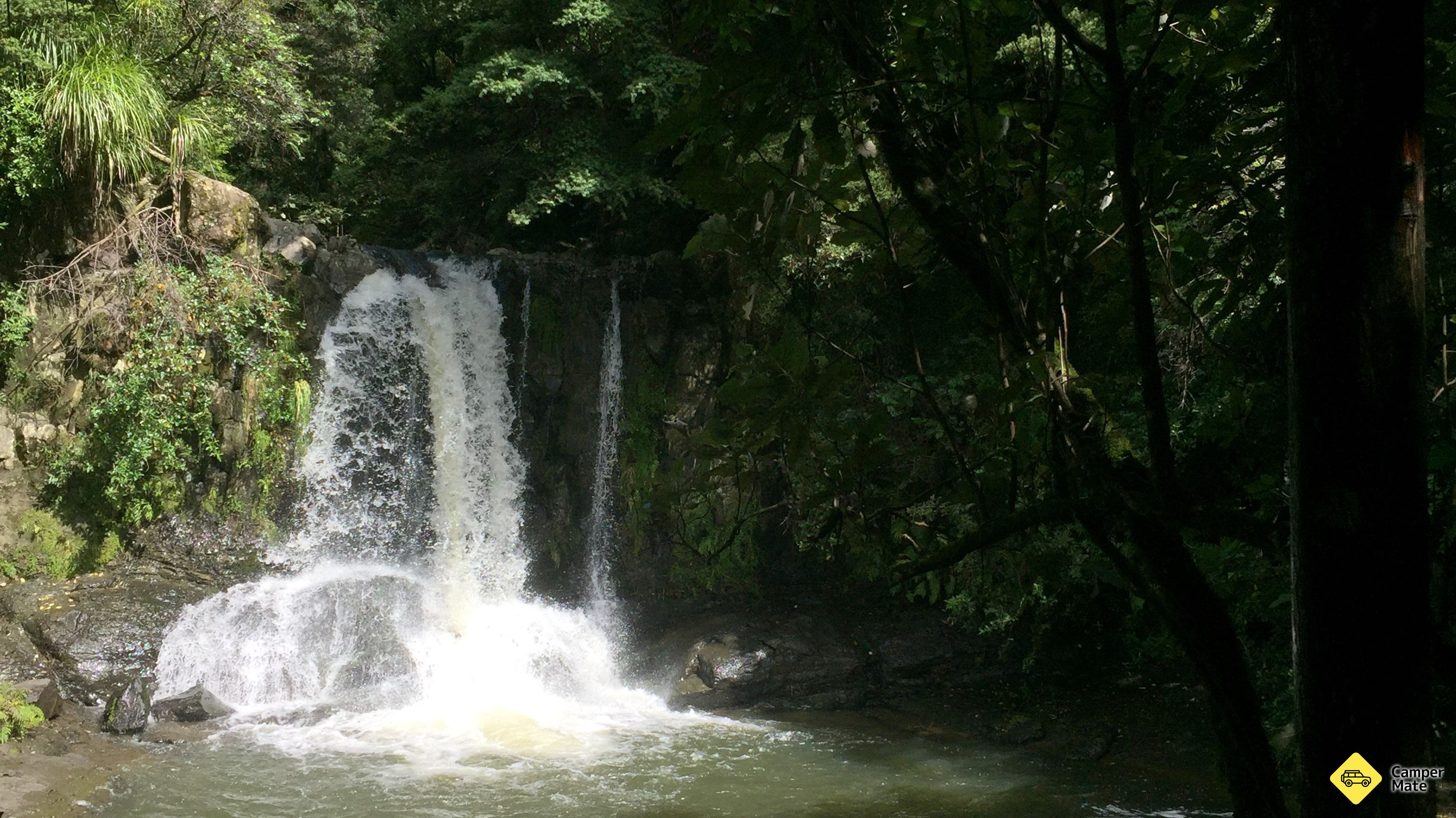 Waiau Falls and Kauri Grove Lookout Walk 근처 오락거리