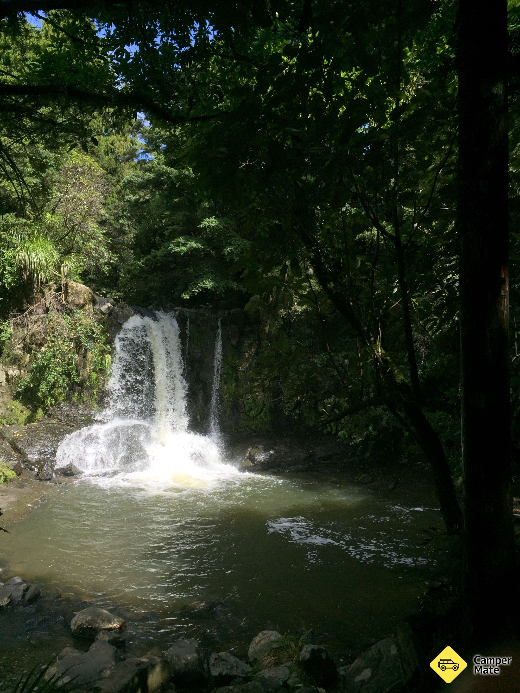 Waiau Falls and Kauri Grove Lookout Walk