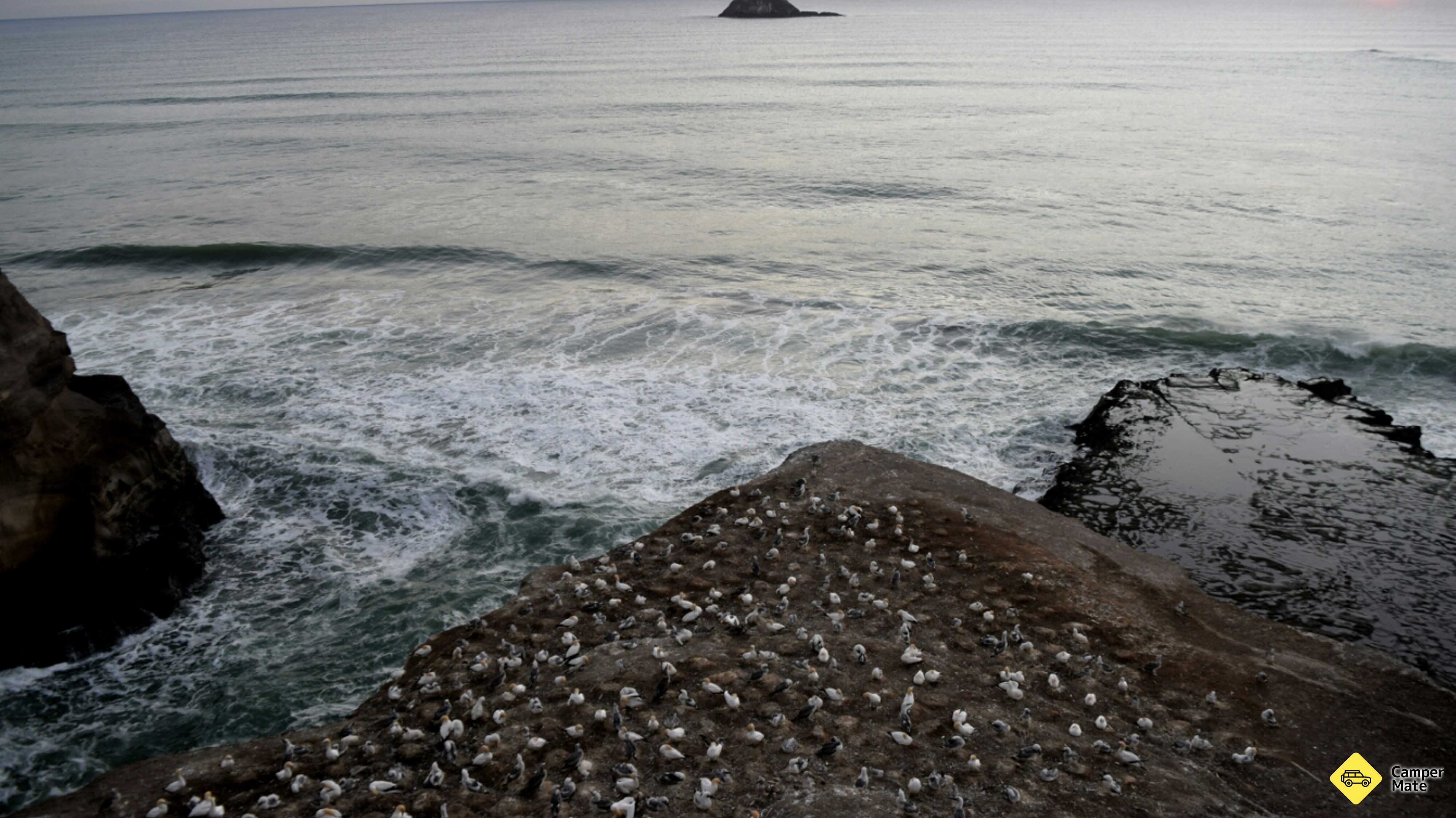 Muriwai Gannet Colony Viewpoint 부근의 호텔