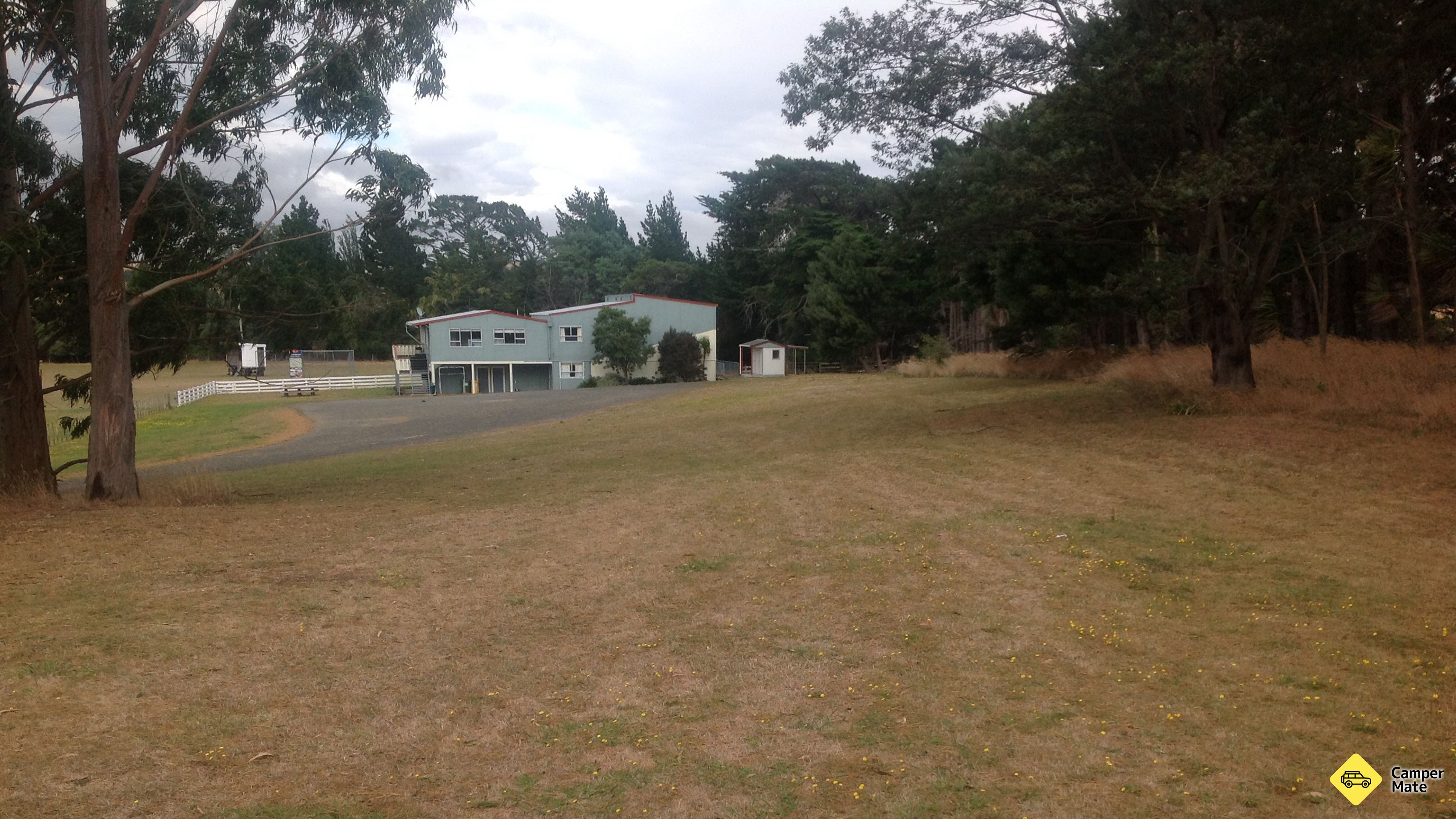 Pongaroa كامبريدج Ground & Domain