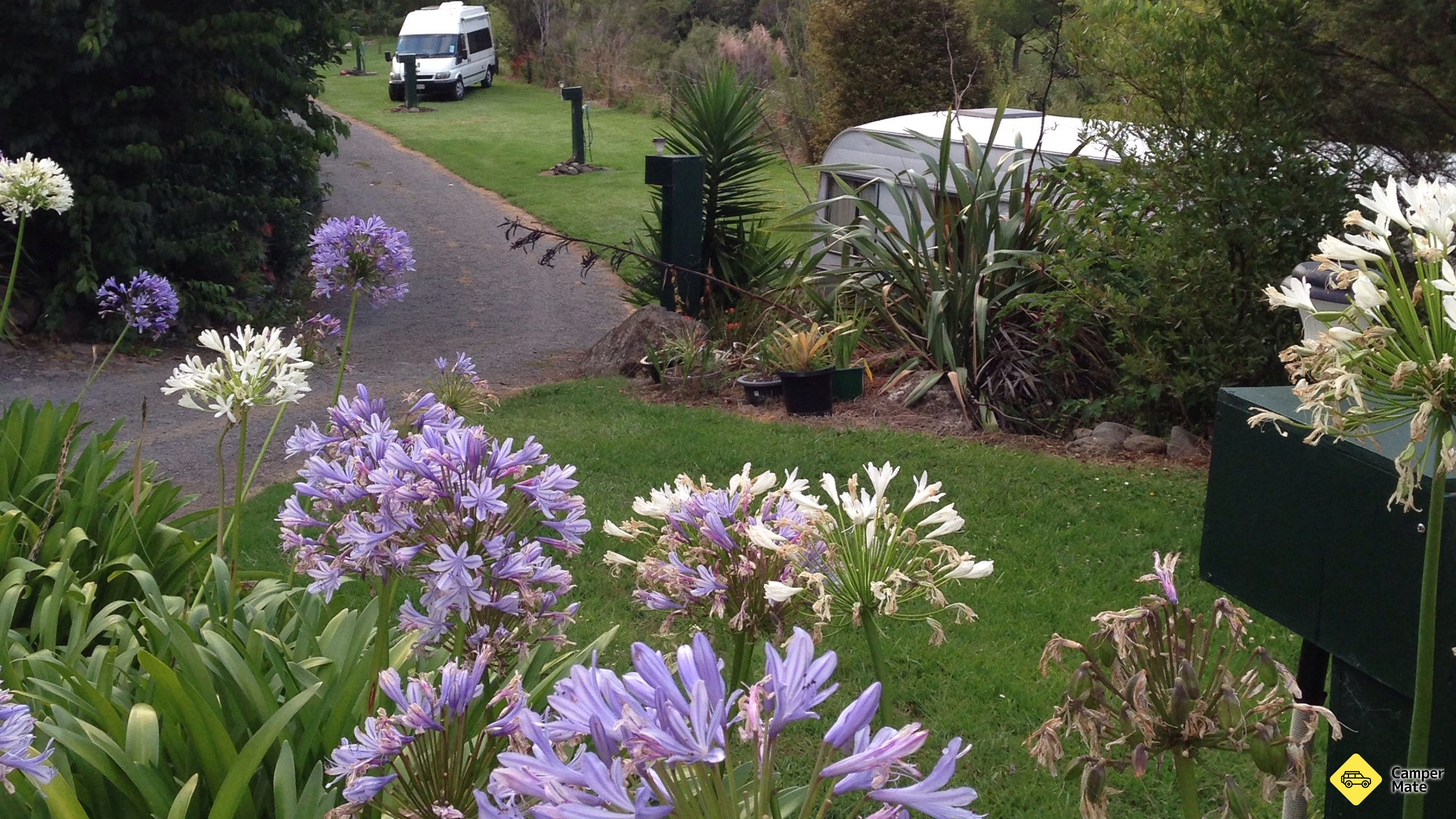 Tapu Creek Campervan สวน