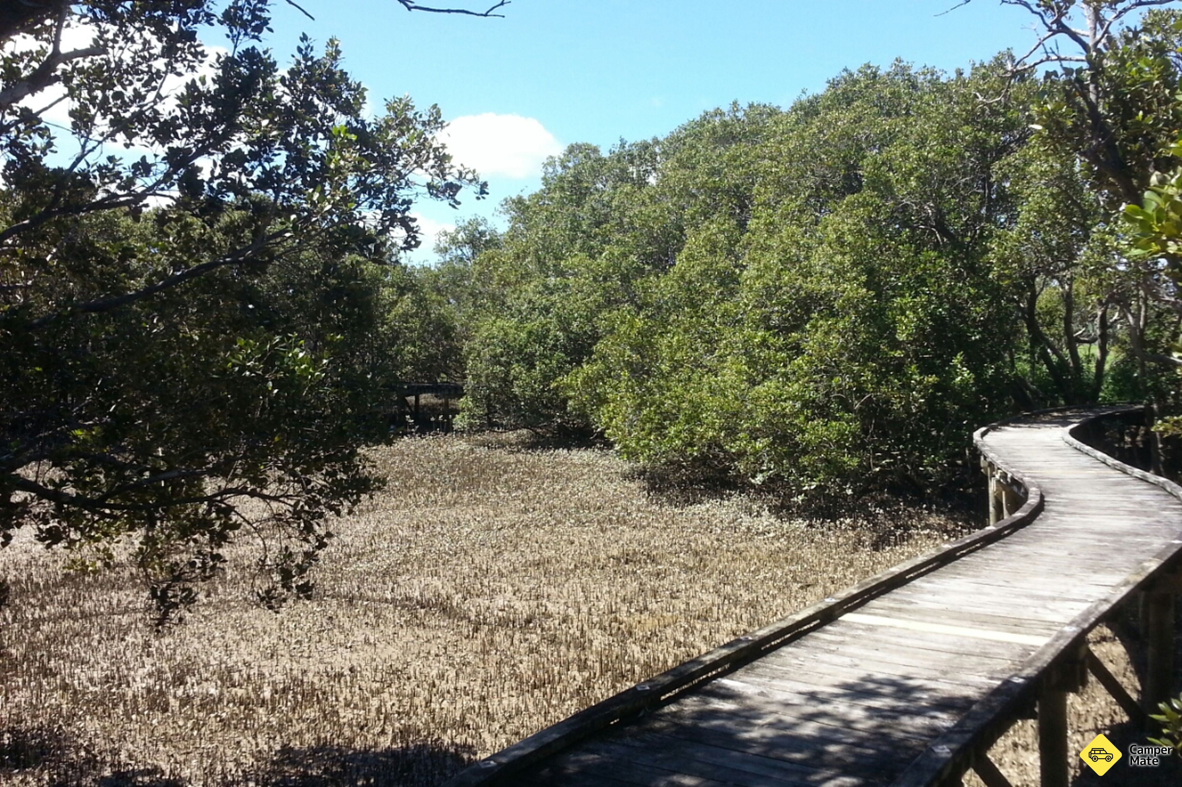 Rawene Mangrove Boardwalk - Image 2