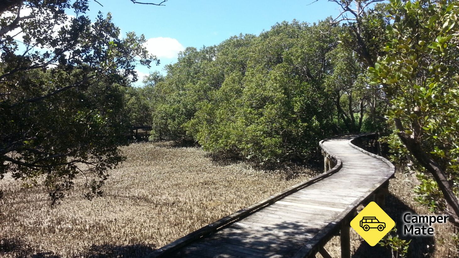 Rawene Mangrove Boardwalk - Image 2
