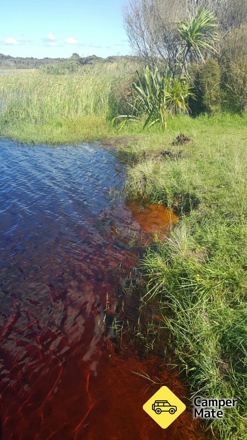 Coca Cola Lake - Image 3