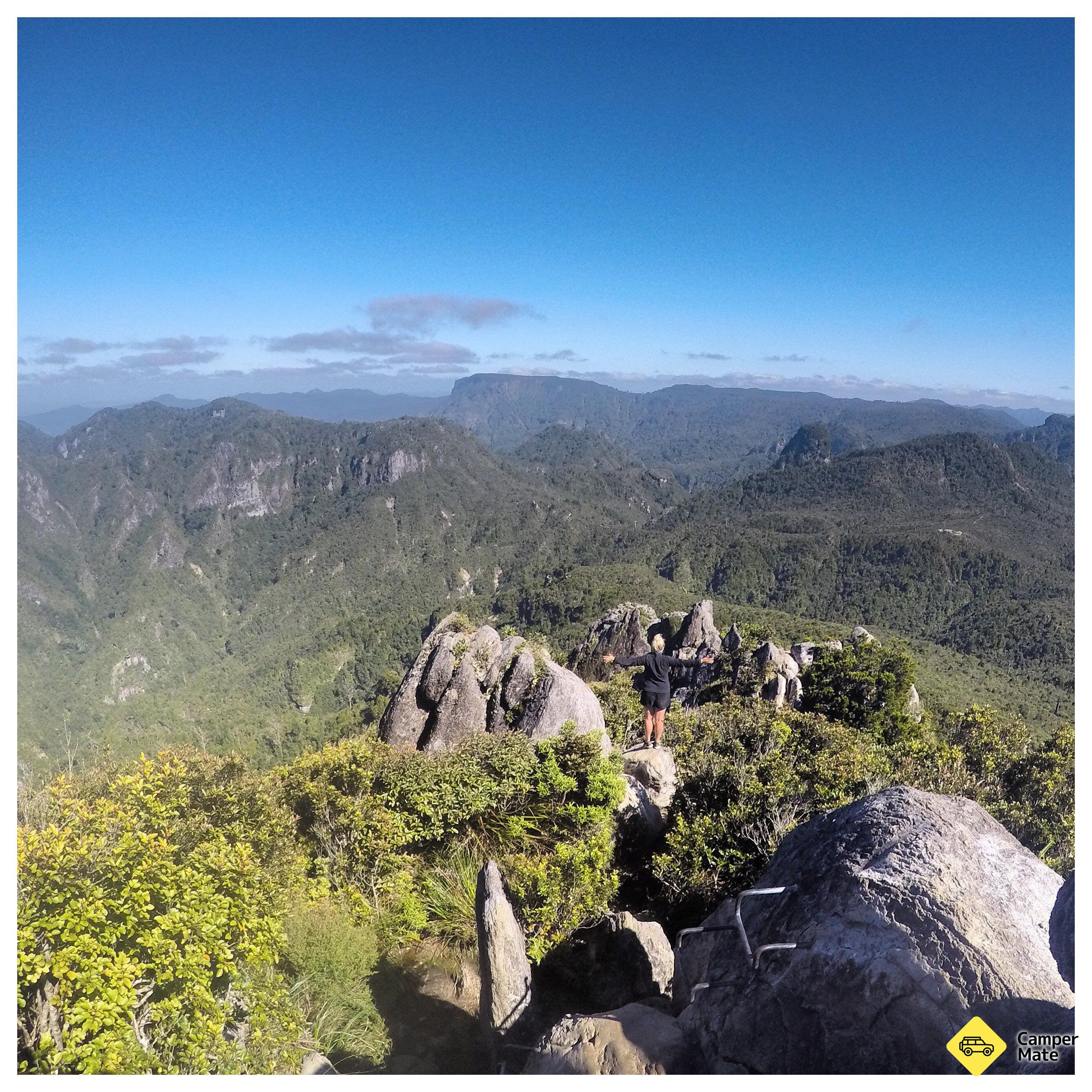 Kauaeranga Kauri Trail (Pinnacles Walk) - Image 3