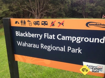 Blackberry Flats Campground 