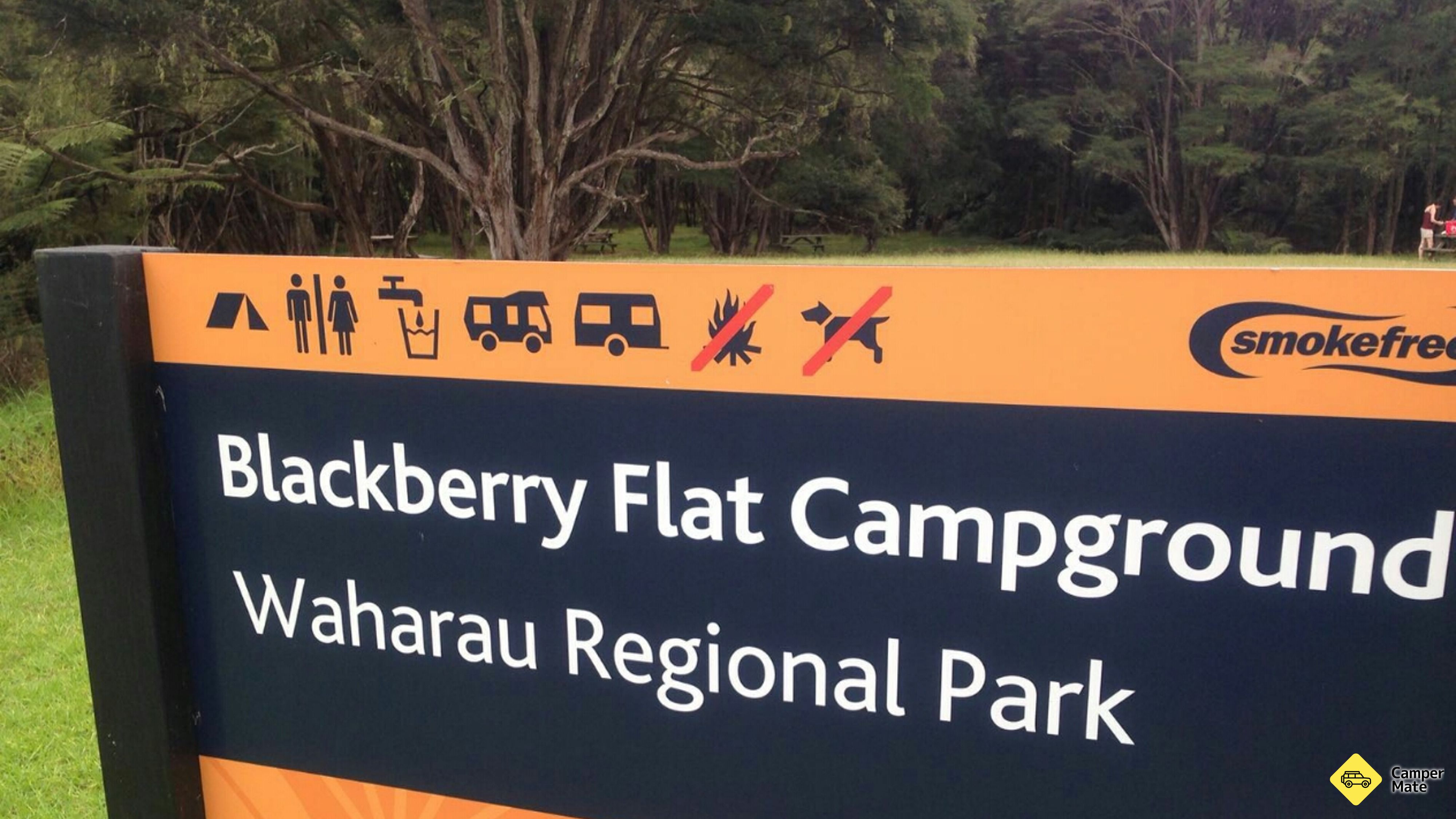 Things to do and places to stay in New Zealand photo 3