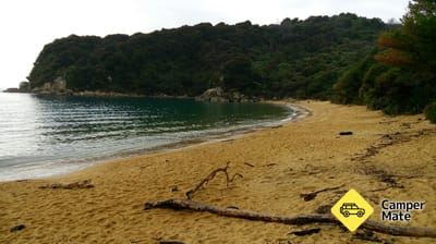Te Pukatea Bay Campsite