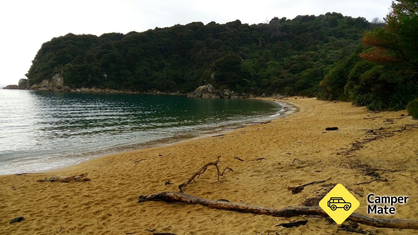 Te Pukatea Bay Campsite