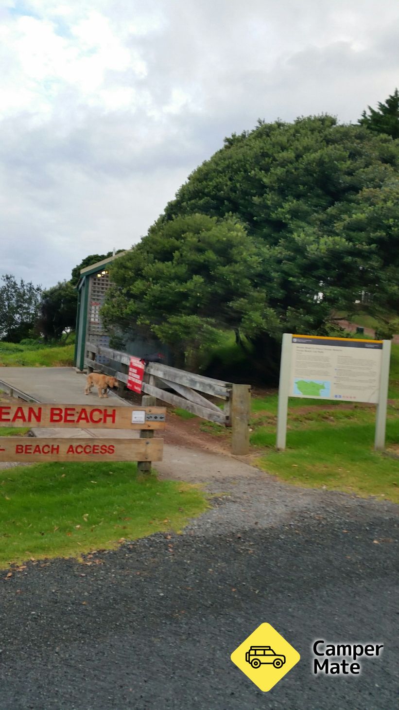 Ocean Beach 
