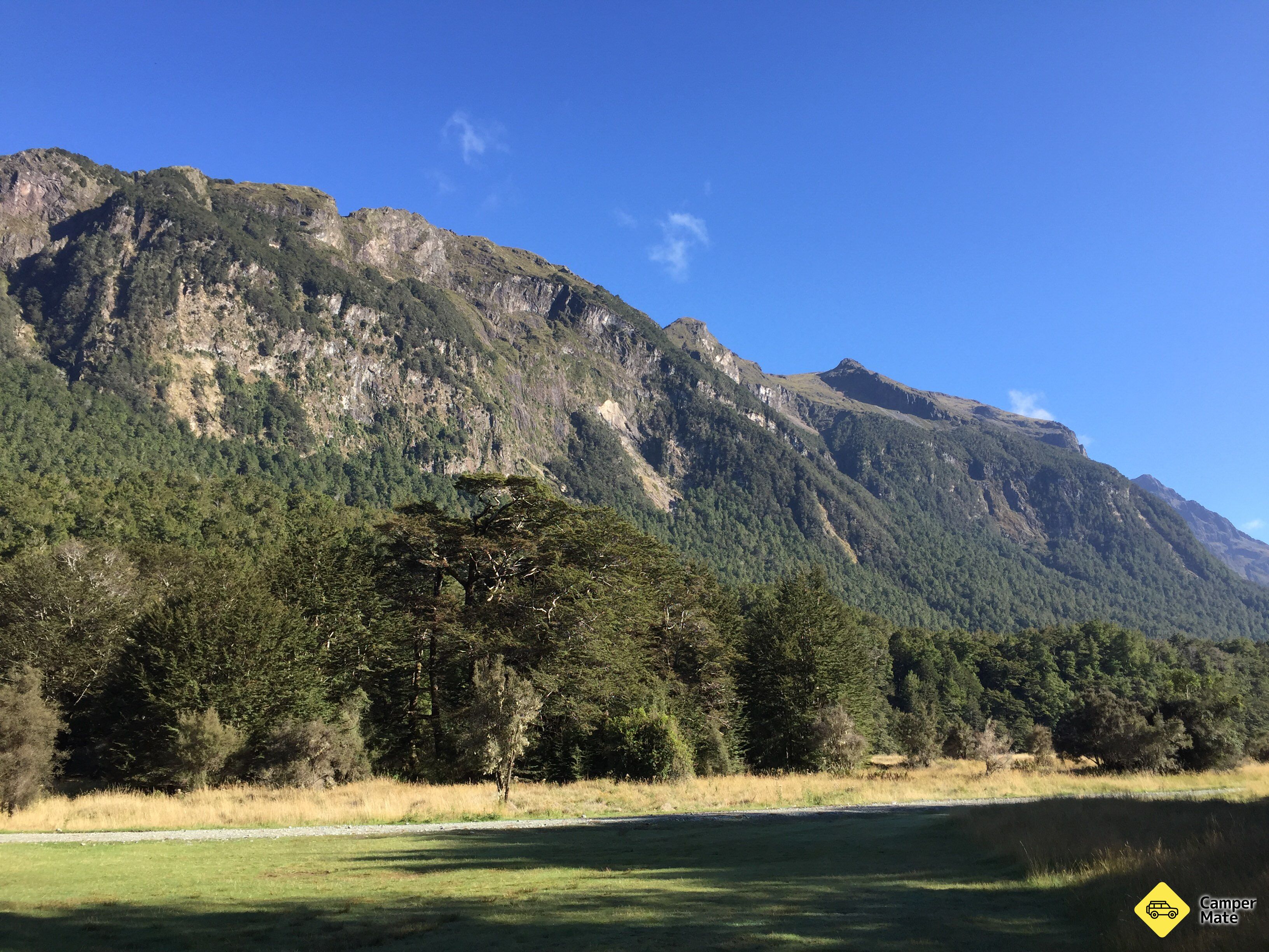Totara Campsite