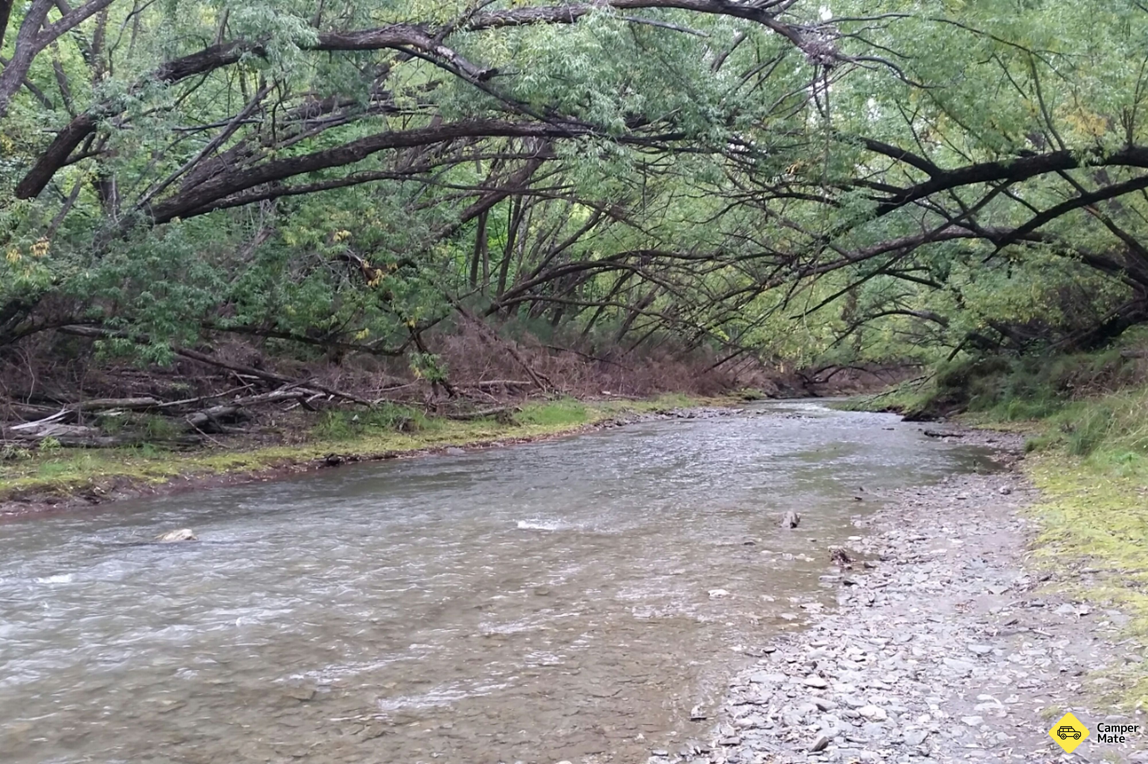 Gladdden Field LOTR Film Location - Image 3
