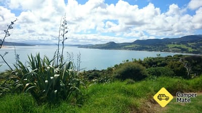 Arai Te Uru Scenic Lookout