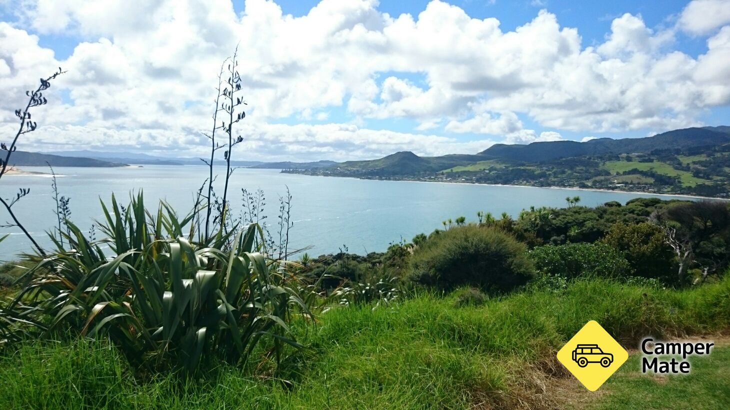 Arai Te Uru Scenic Lookout