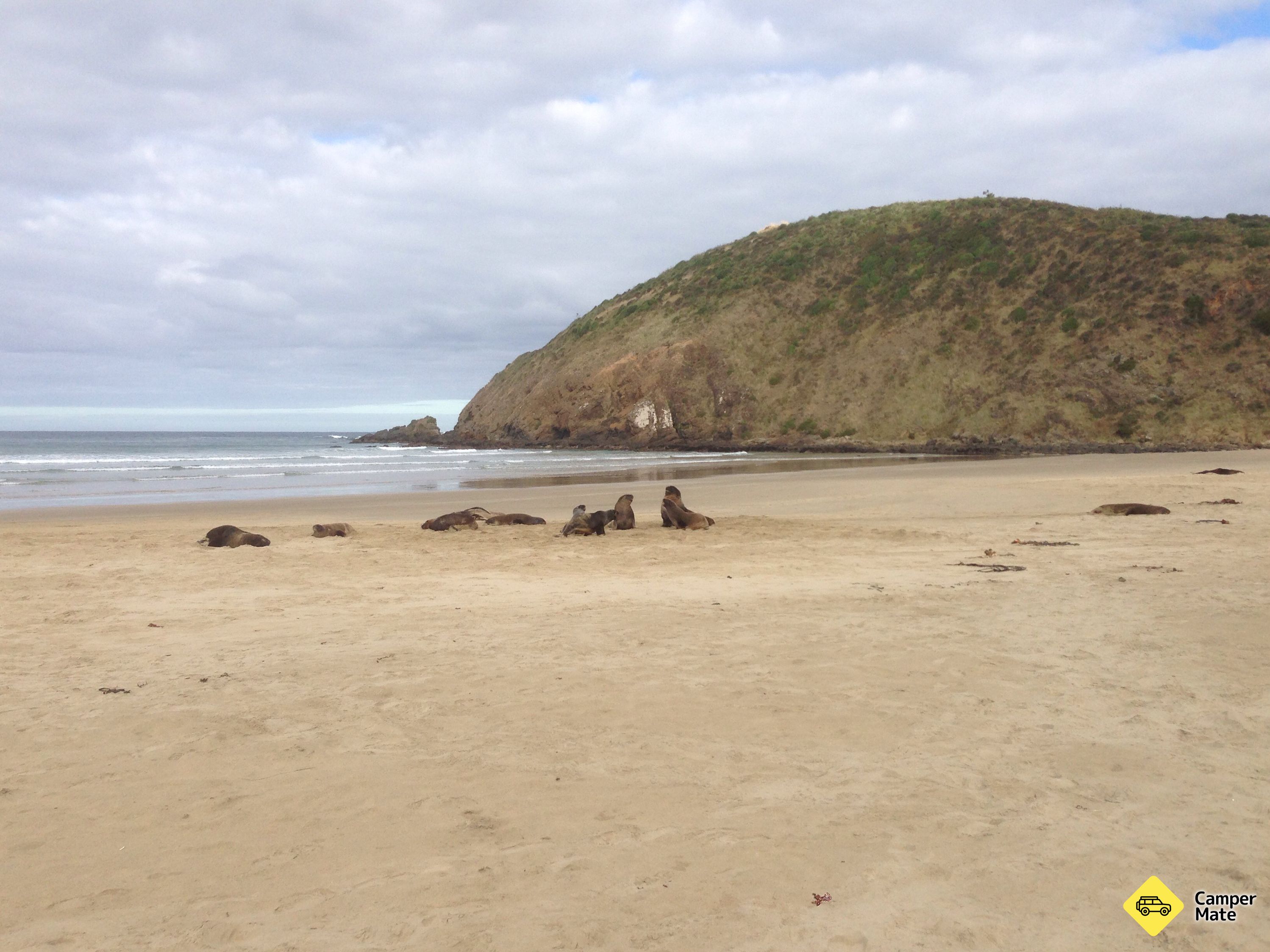 Cannibal Bay