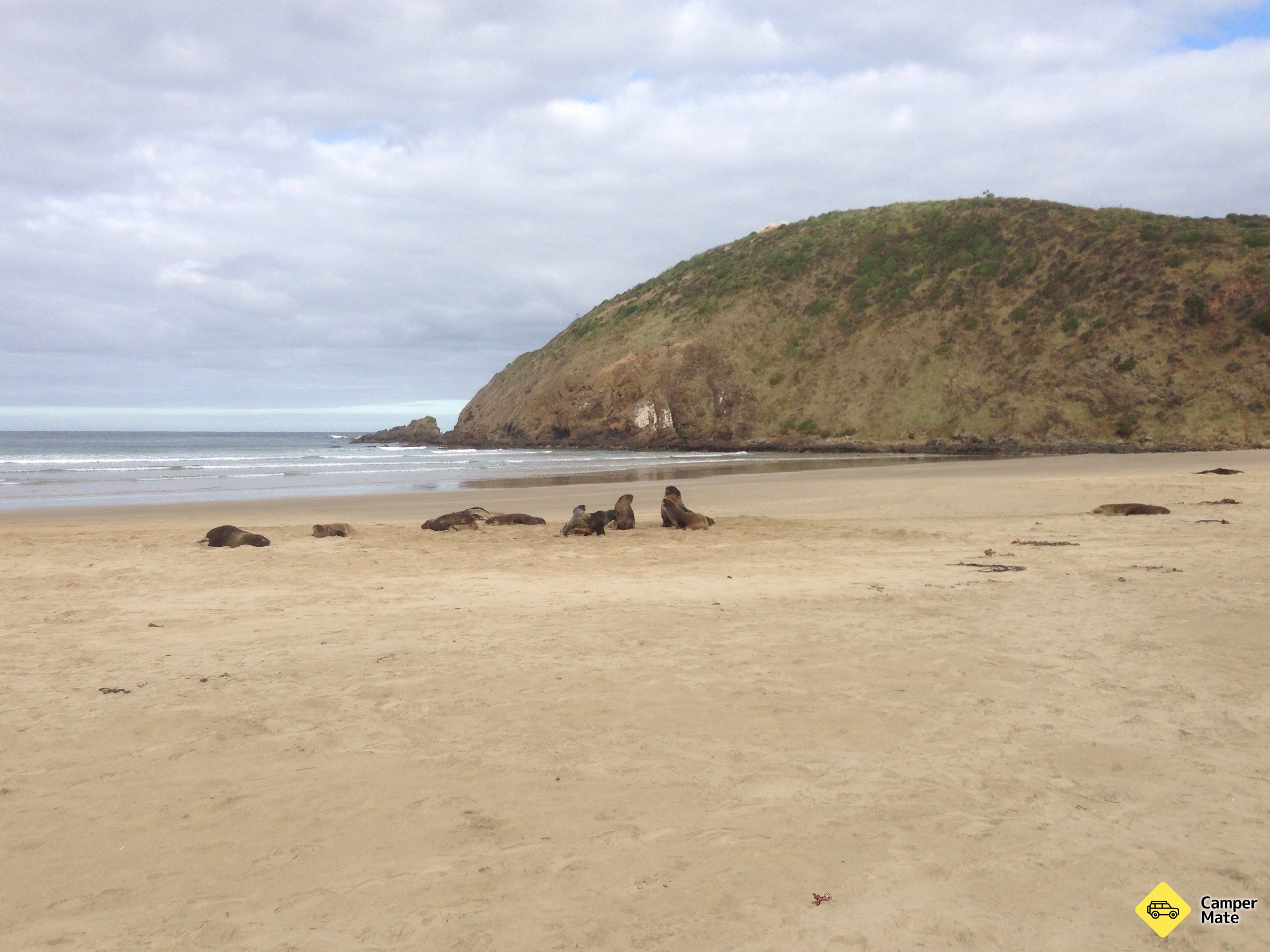 Cannibal Bay