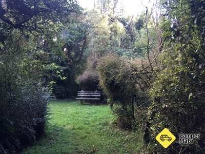 Peel Forest Campground