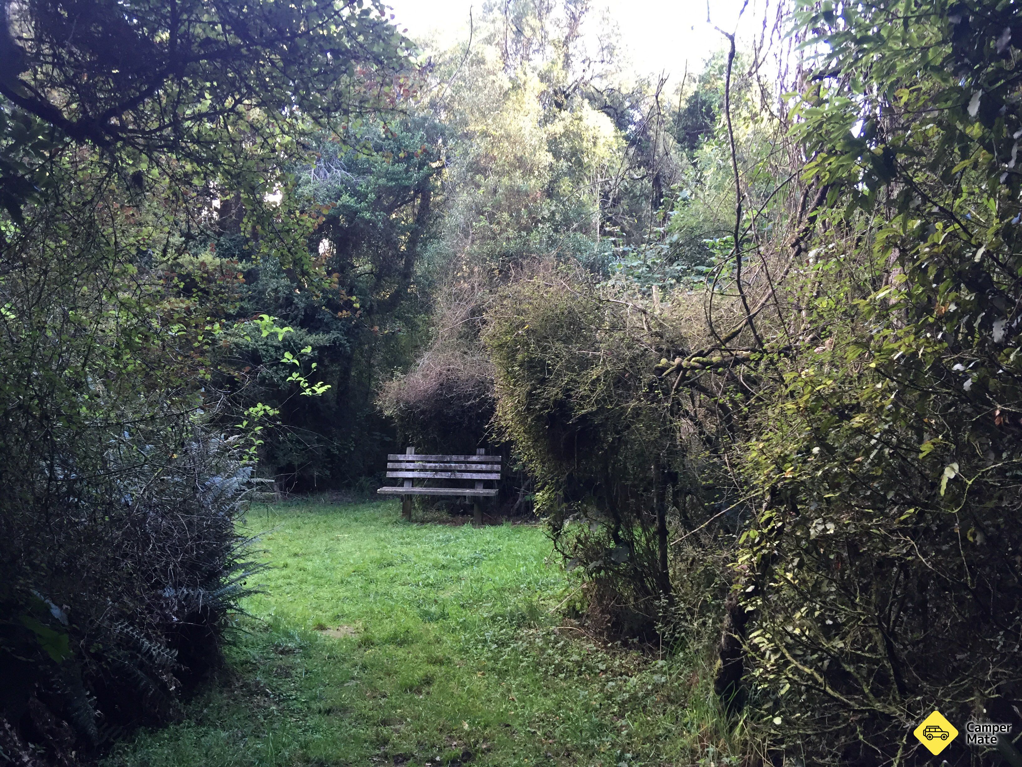 Peel Forest Campground