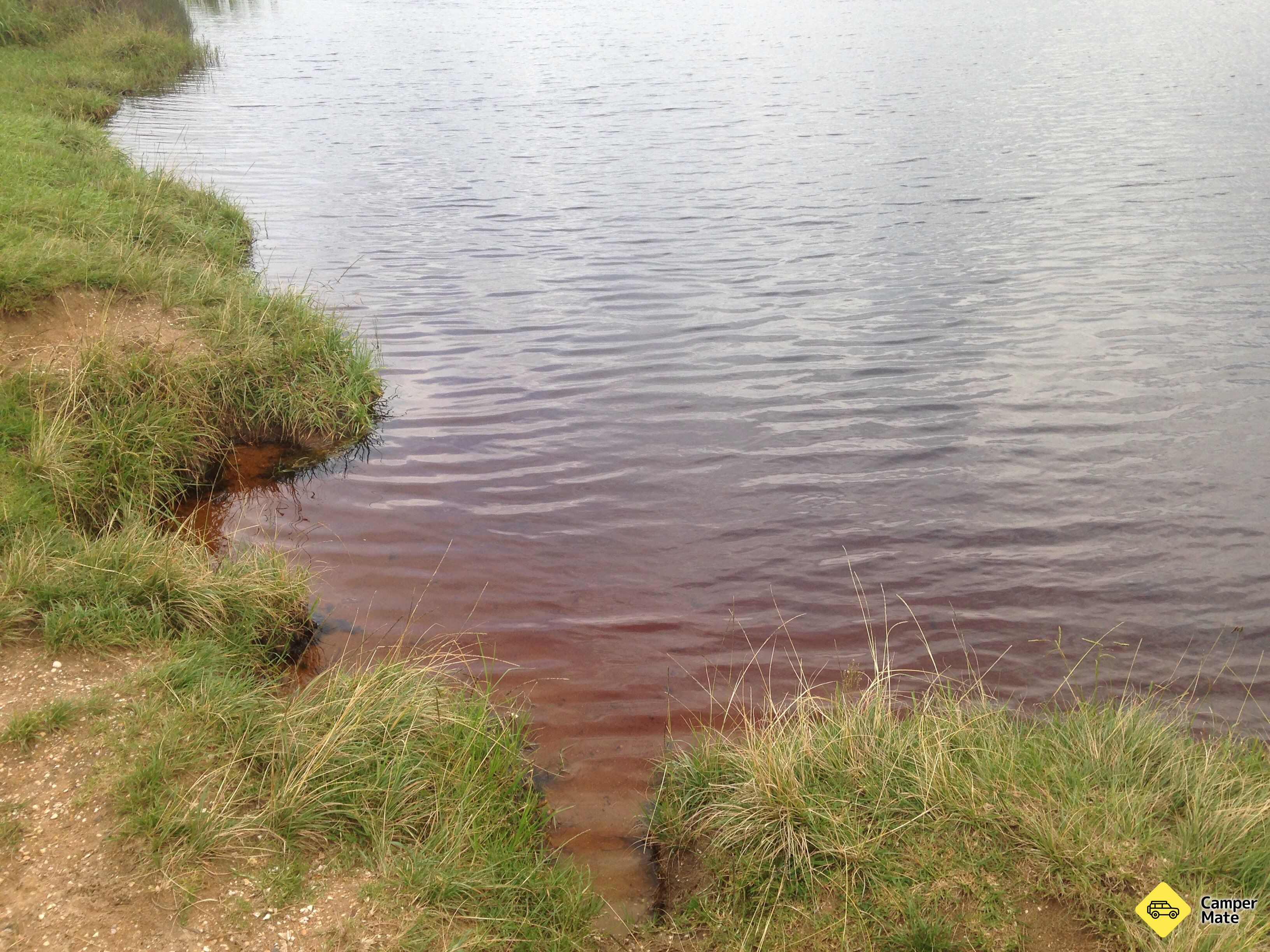 Coca Cola Lake - Image 2