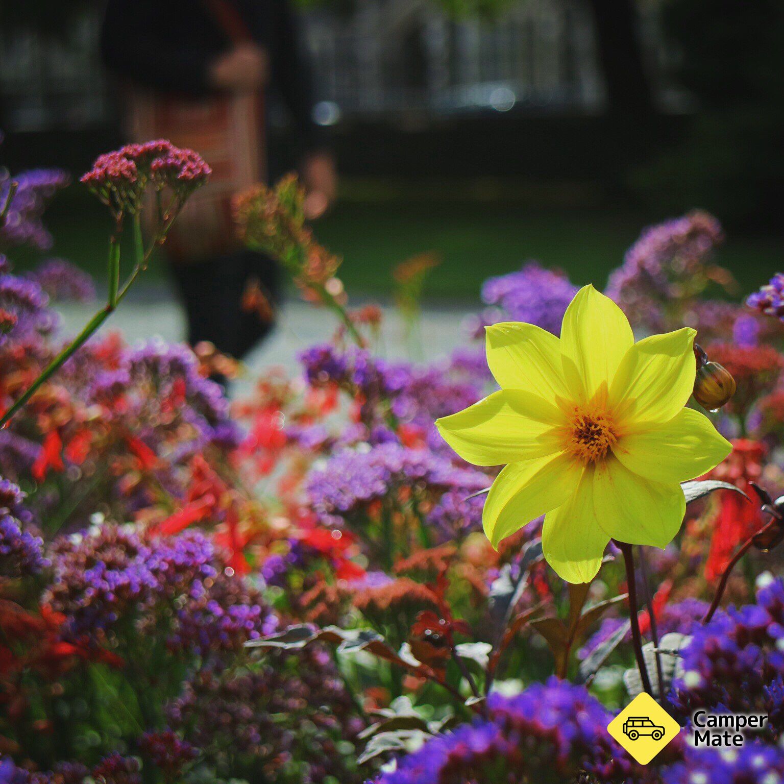 Christchurch Botanical Gardens - Image 3