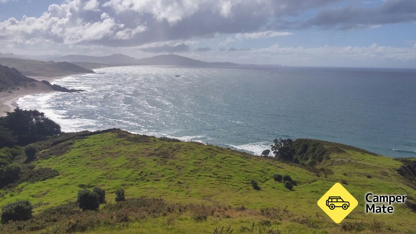 Bream Head Hike