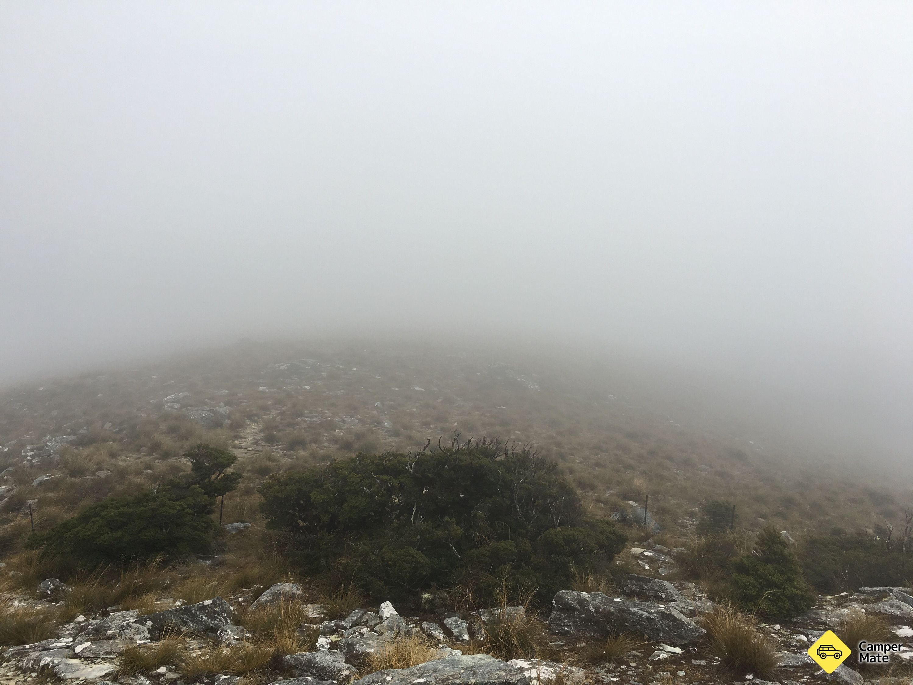 Mt Stokes Track