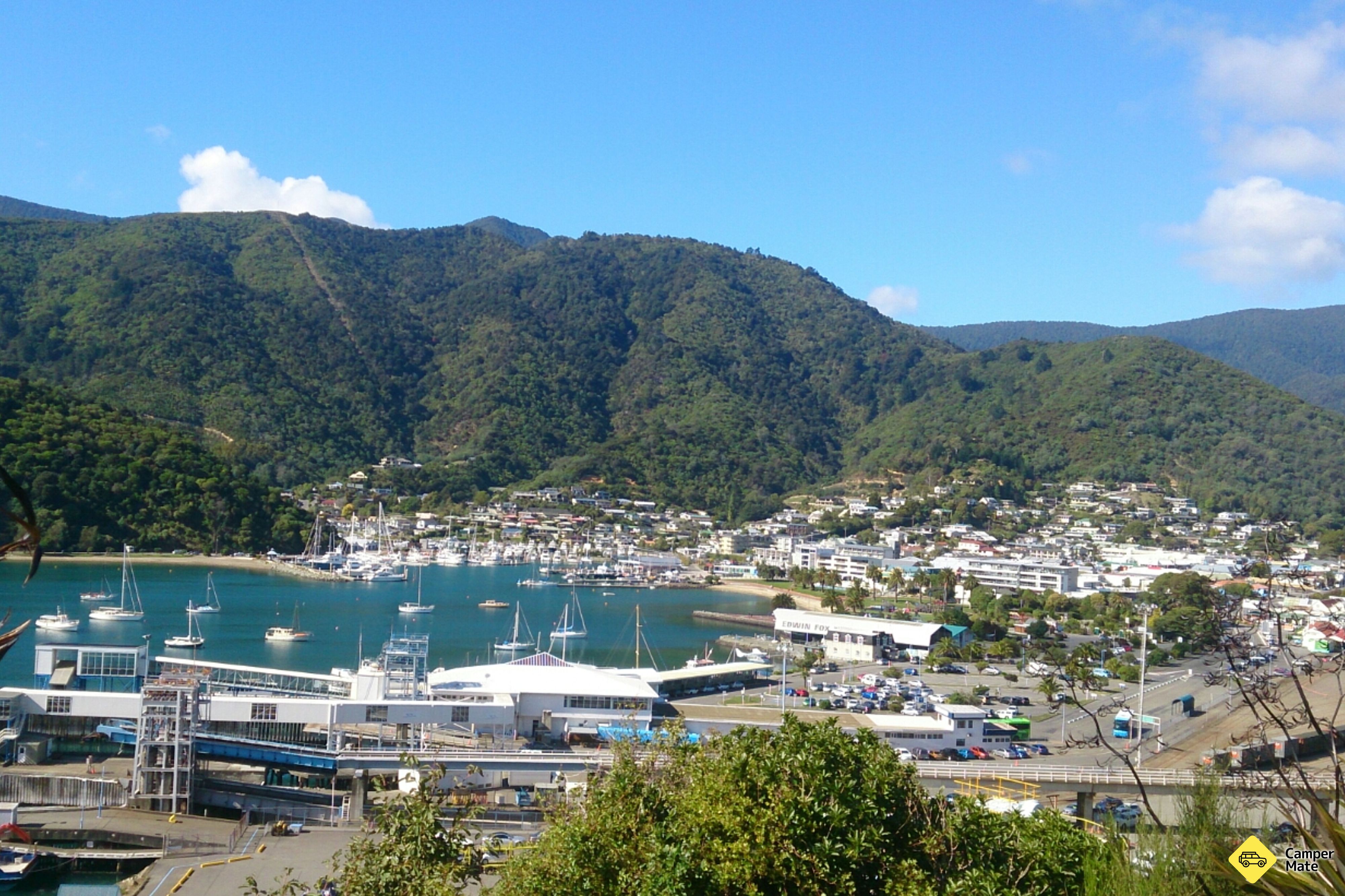Tirohanga Track - Image 3