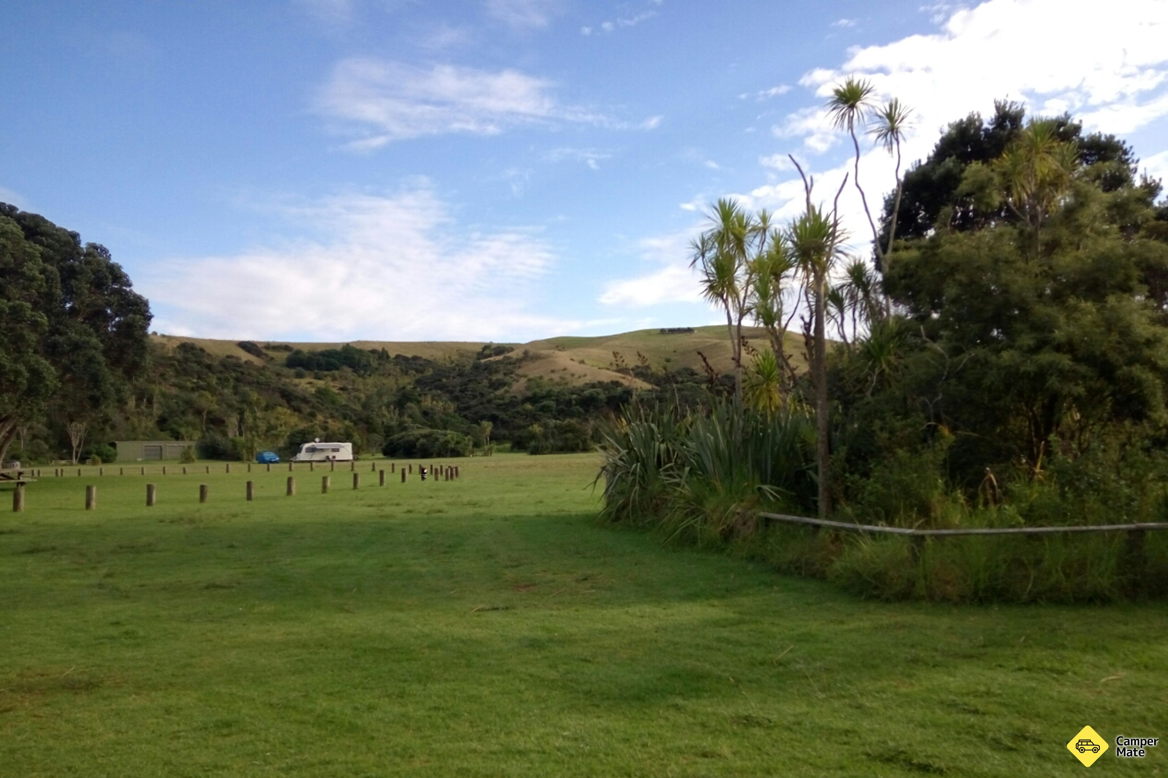 Te Haruhi Bay Campground - Image 2