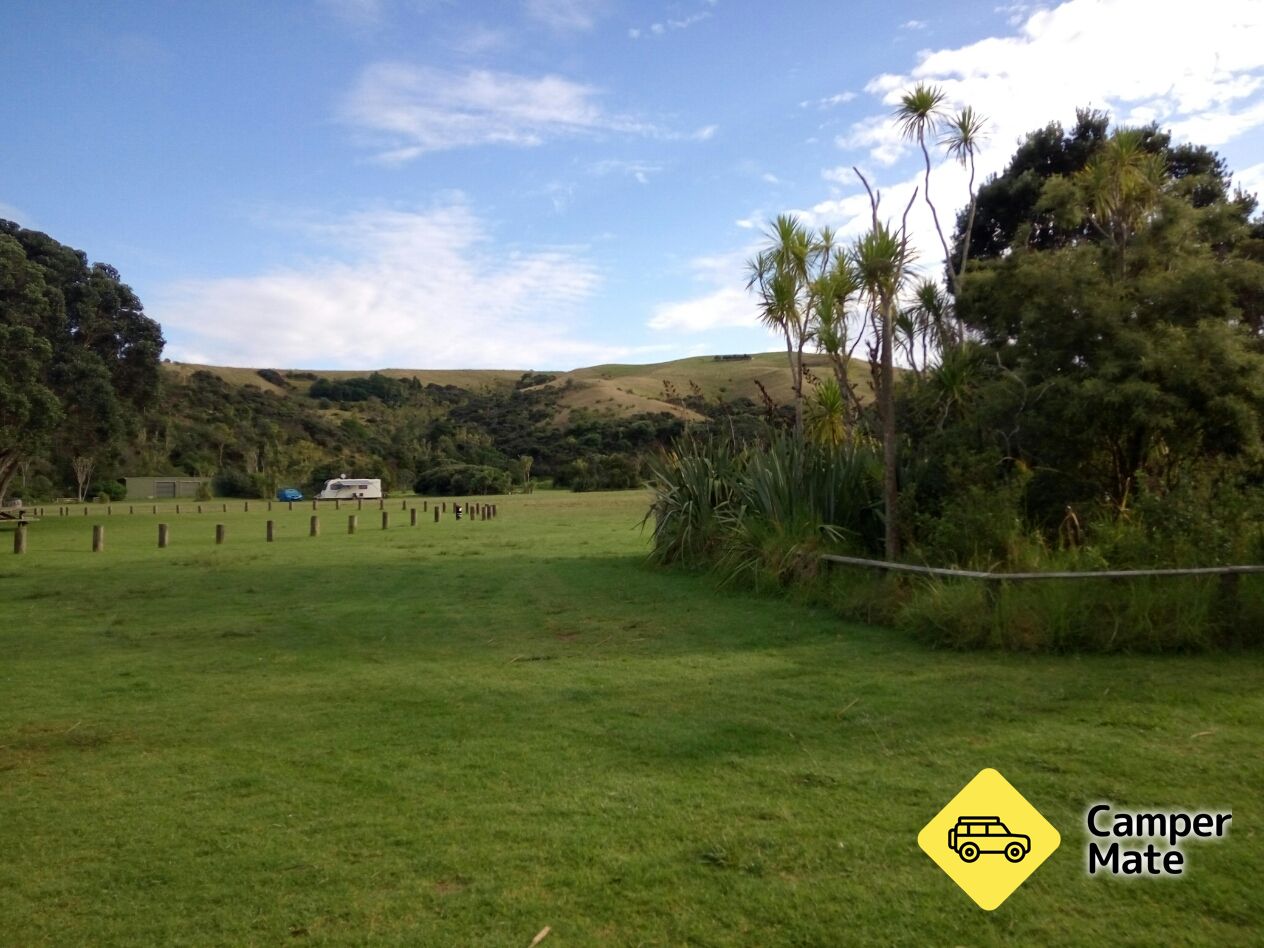 Te Haruhi Bay Campground - Image 2