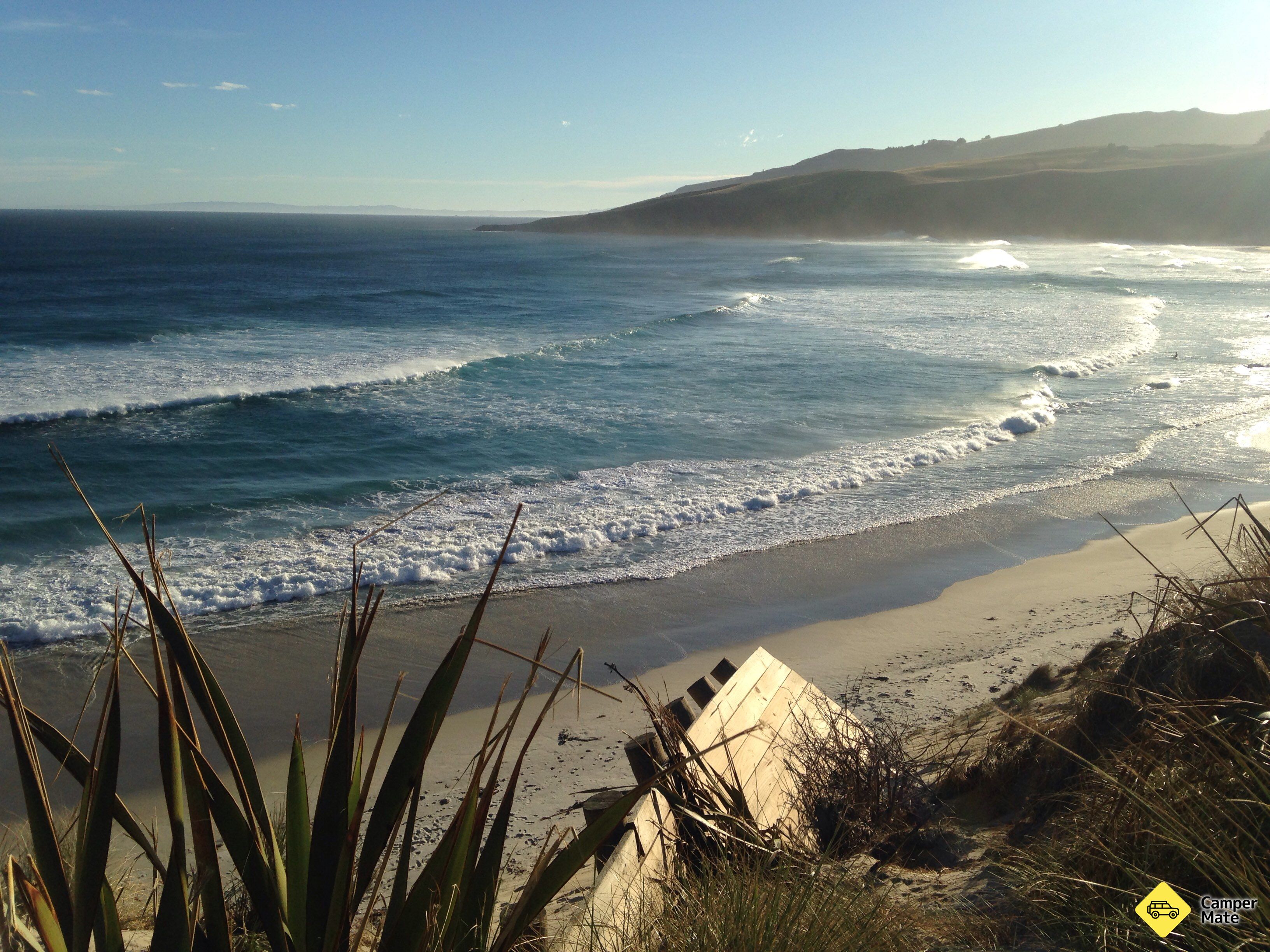 Spotting dei pinguini a Sandfly Bay - Image 2