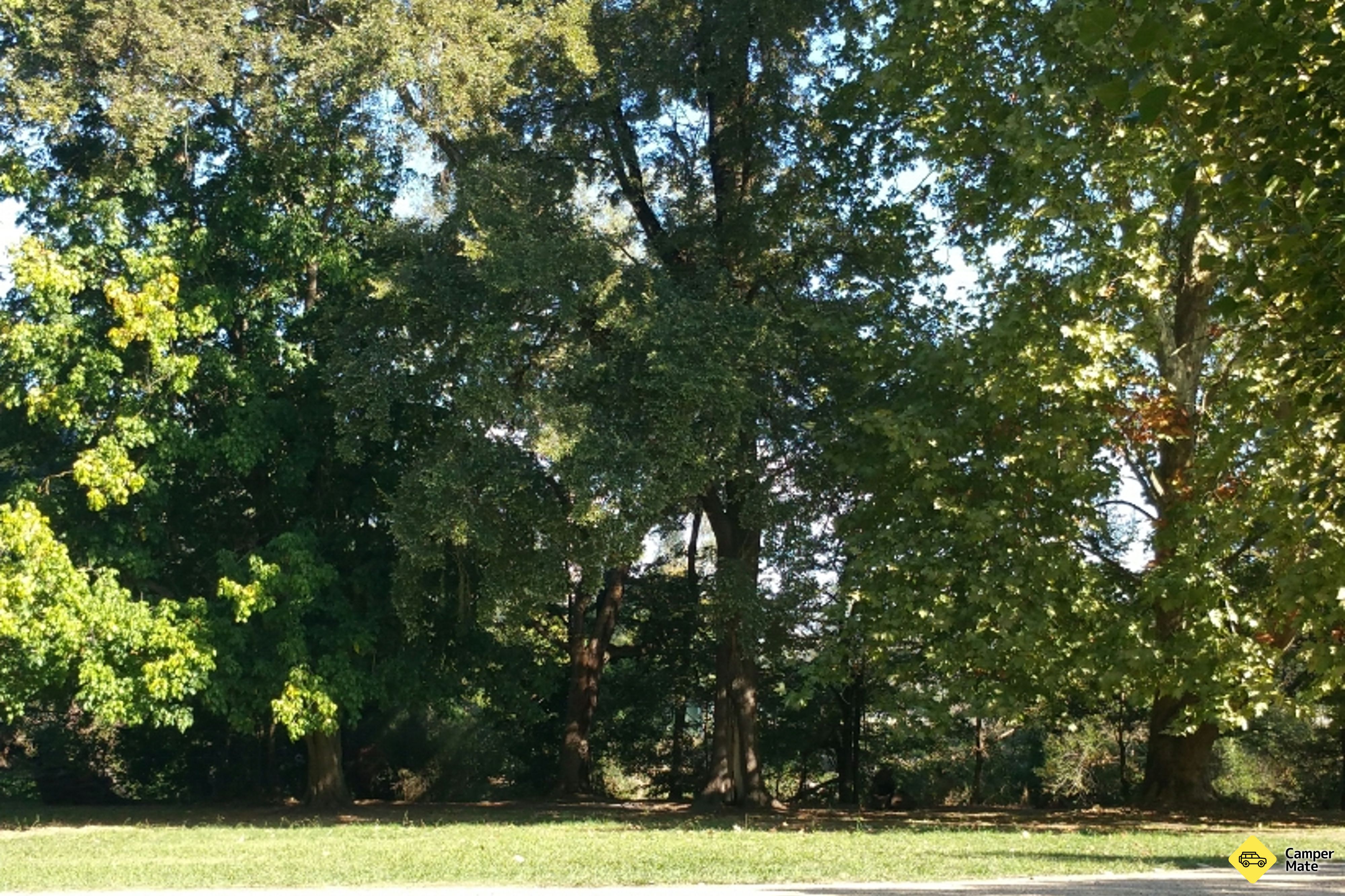 Kergunyah Bridge Reserve Campground - Image 3