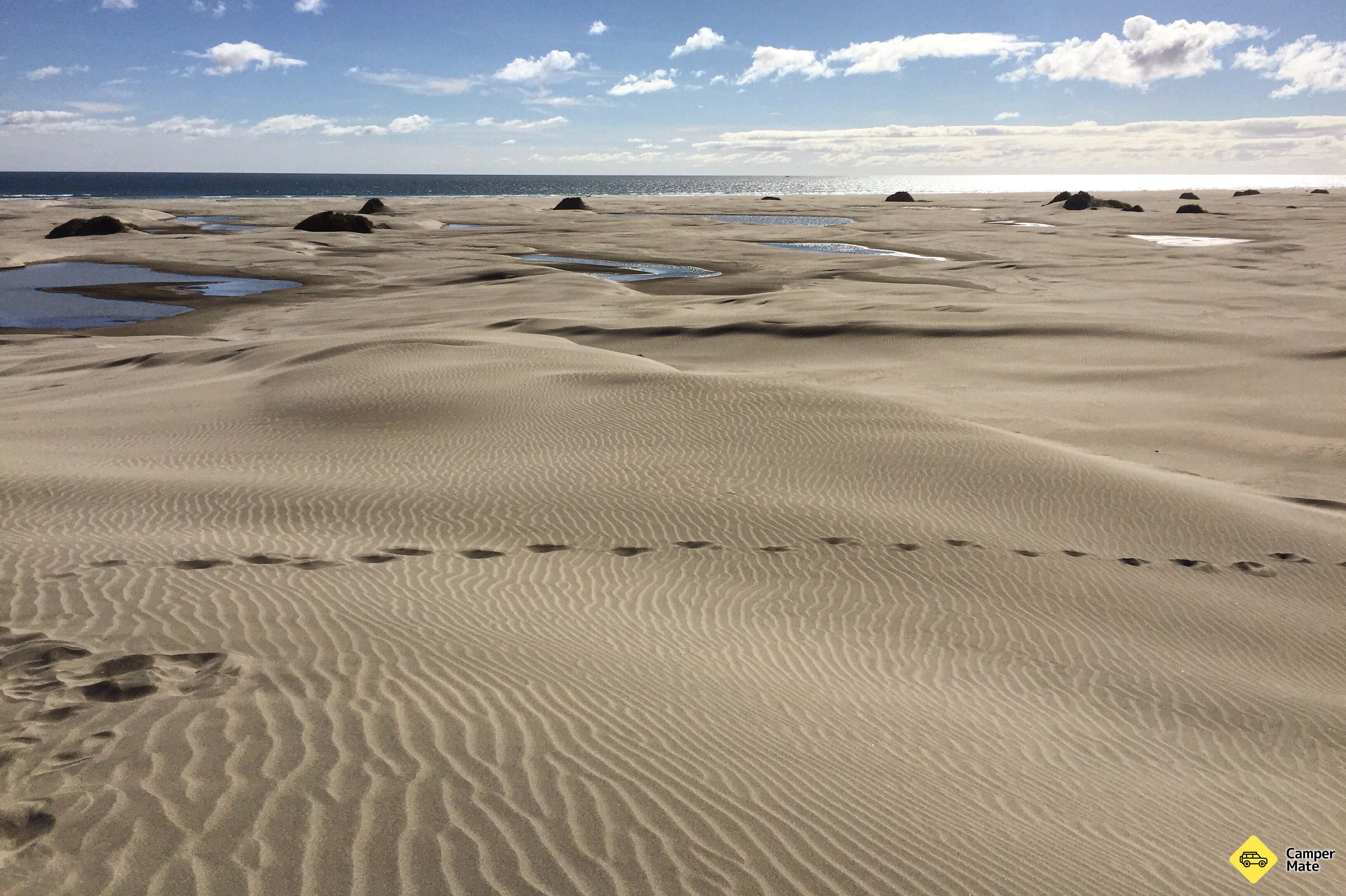 Spit Track Circuit via Farewell Spit - Image 2