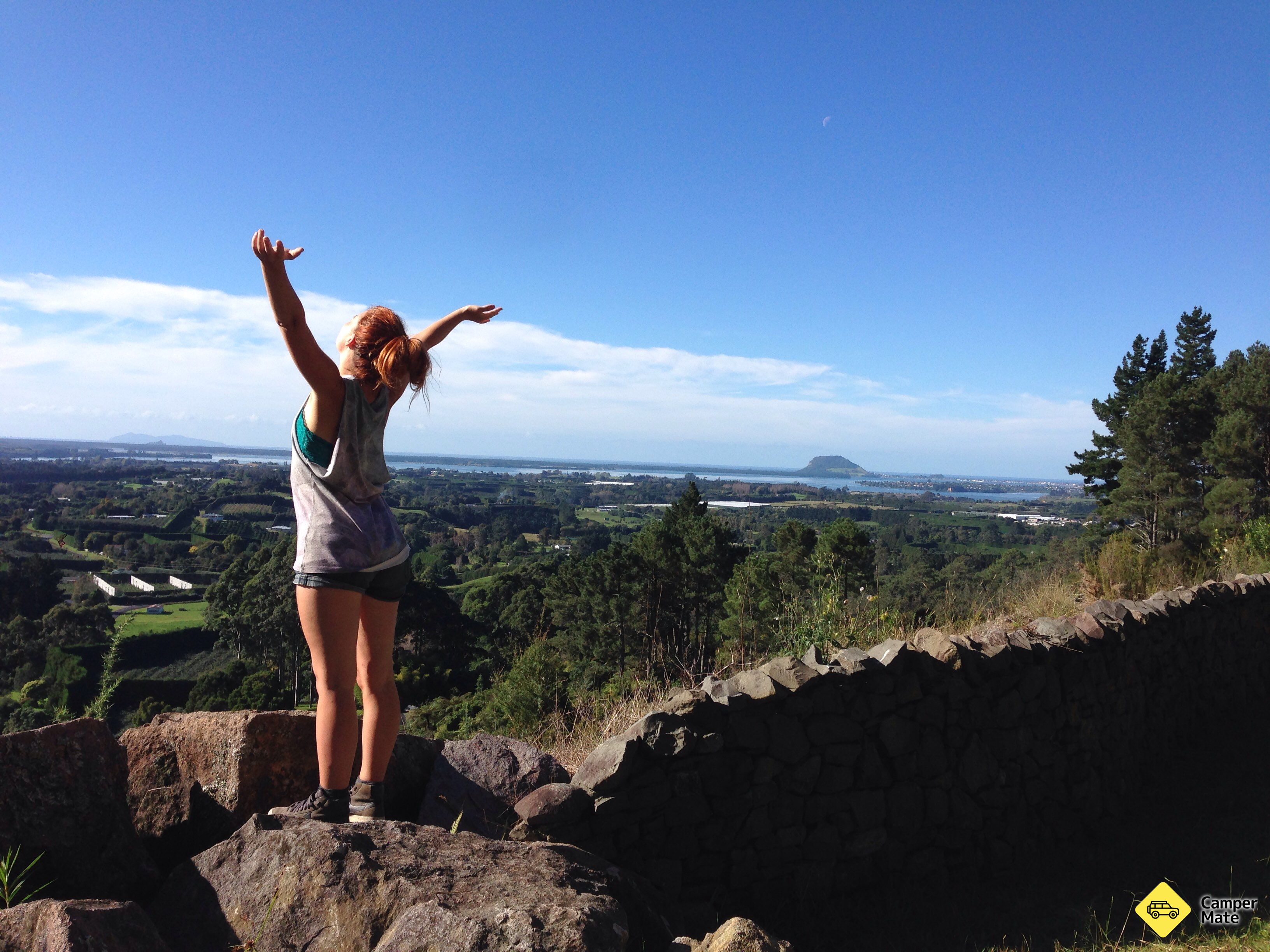 Te Puna Quarry Park - Image 3