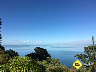 Lynfield Cove Viewpoint