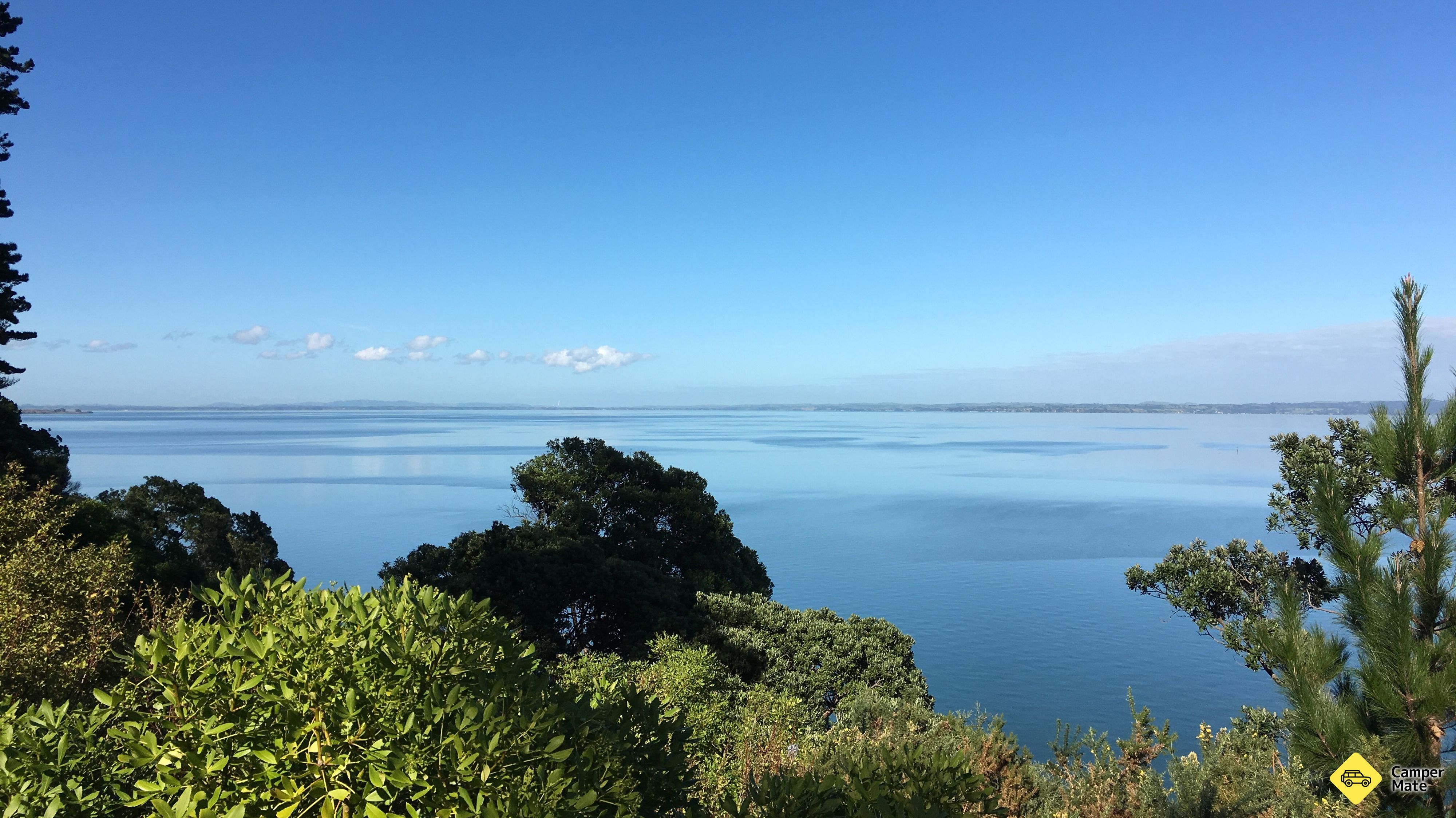 Lynfield Cove Viewpoint 근처 오락거리