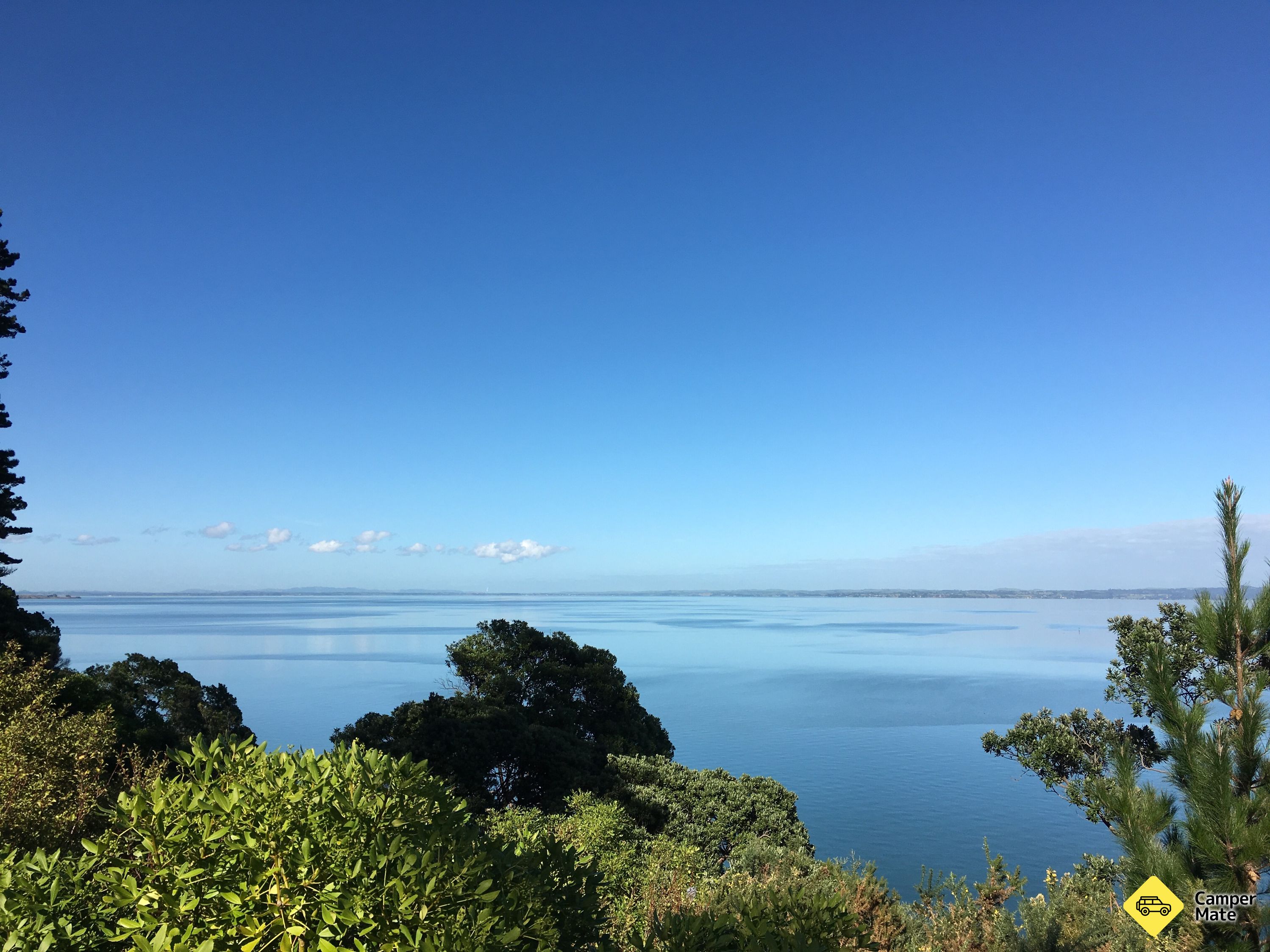 Lynfield Cove Viewpoint