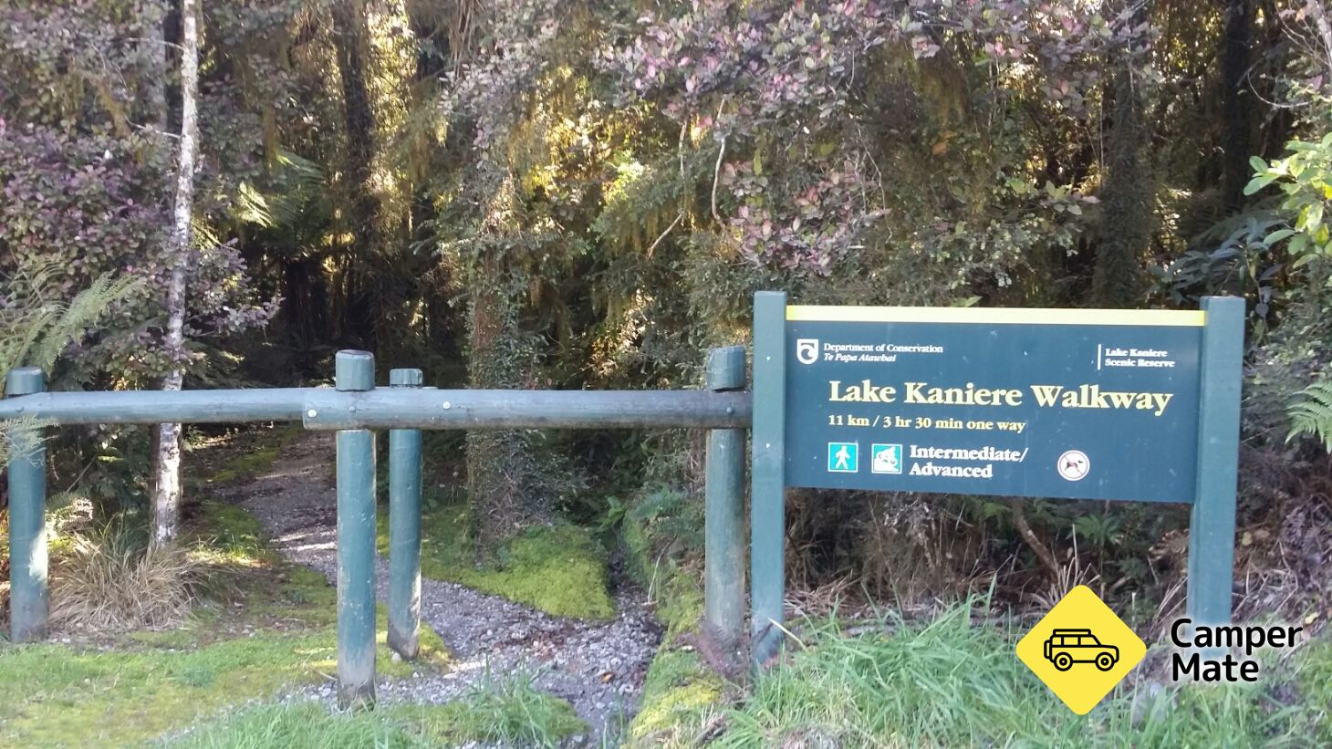 Lake Kaniere Walkway - Image 2