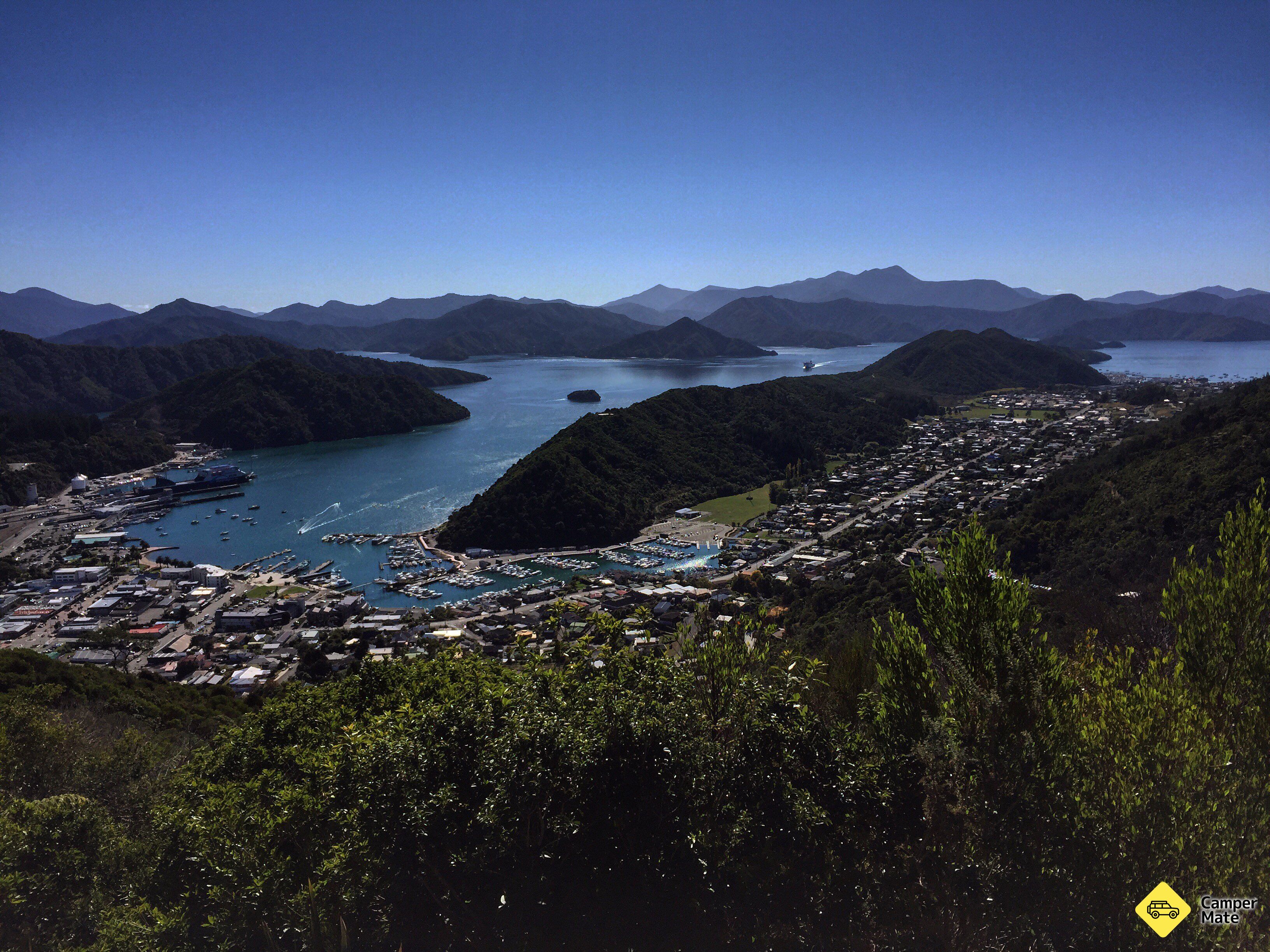 Tirohanga Track (lookout) - Image 3