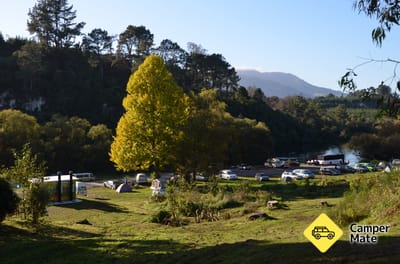 Reids Farm - Hipapatua Recreational Reserve