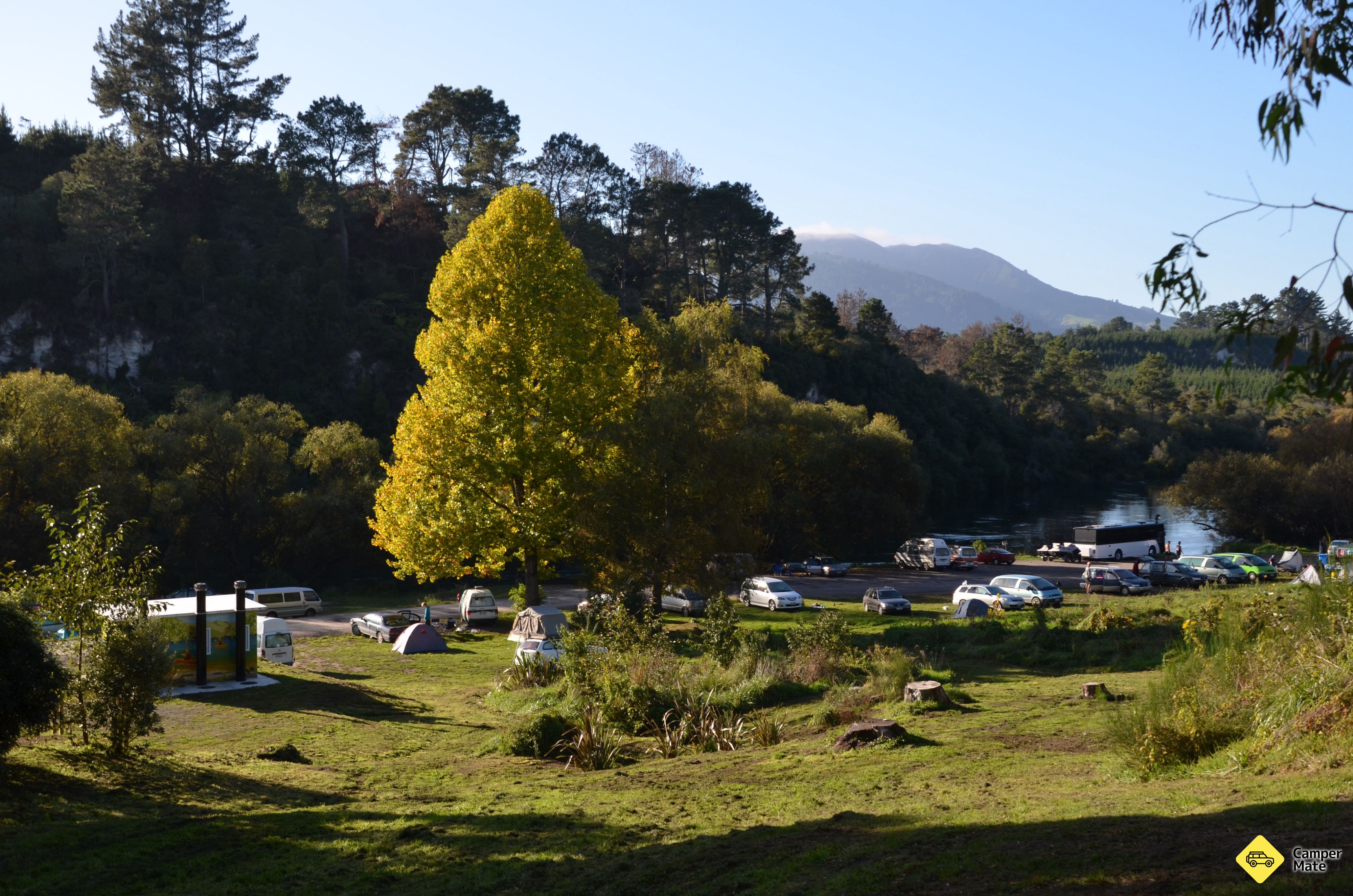 Reids Farm - Hipapatua Recreational Reserve