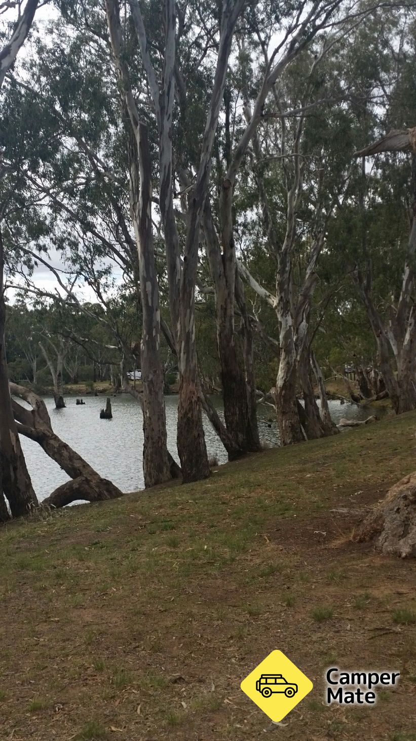 Aysons Reserve - Image 2