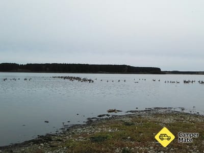 Lake Horowhenua
