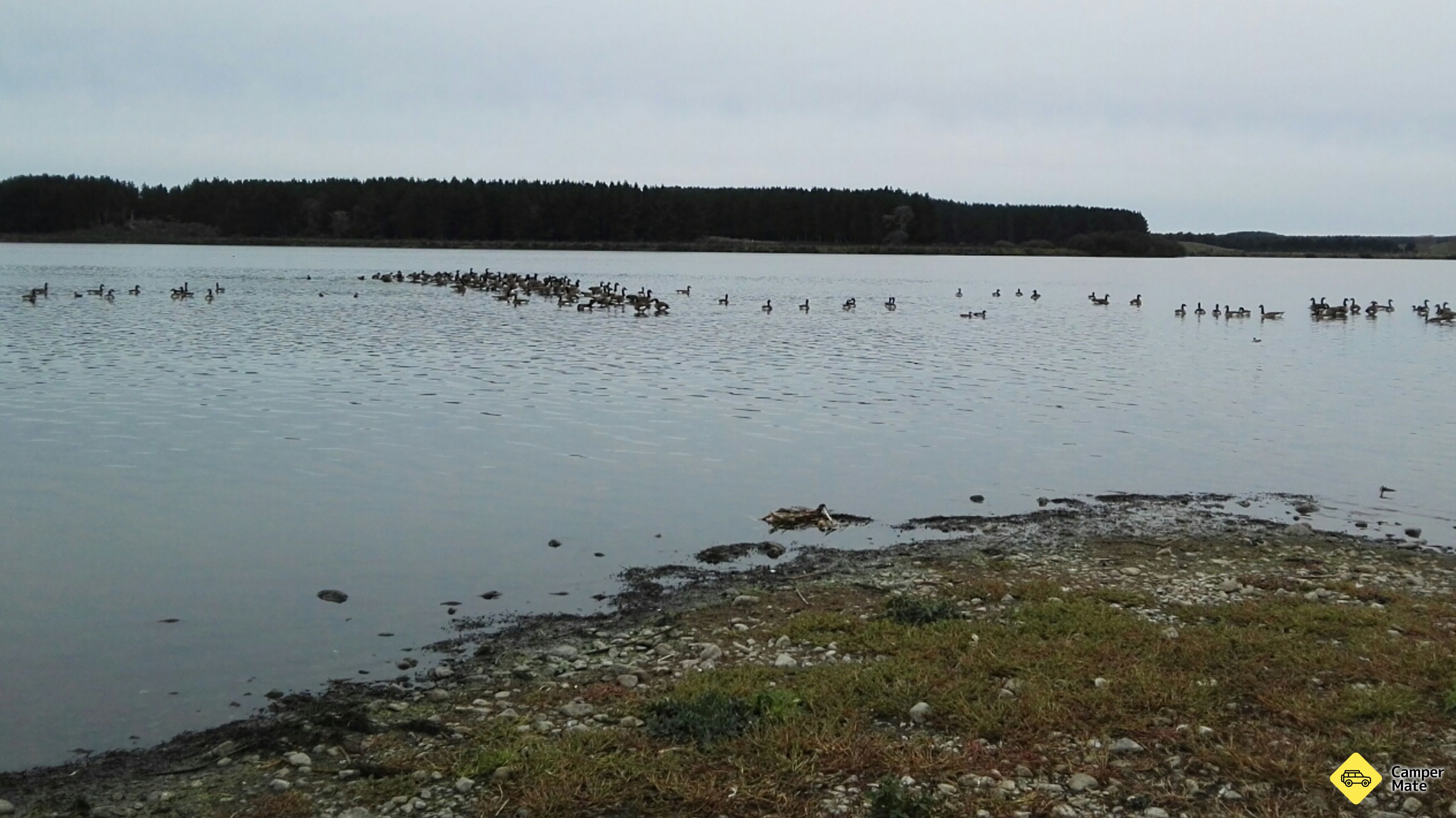 Der See Horowhenua