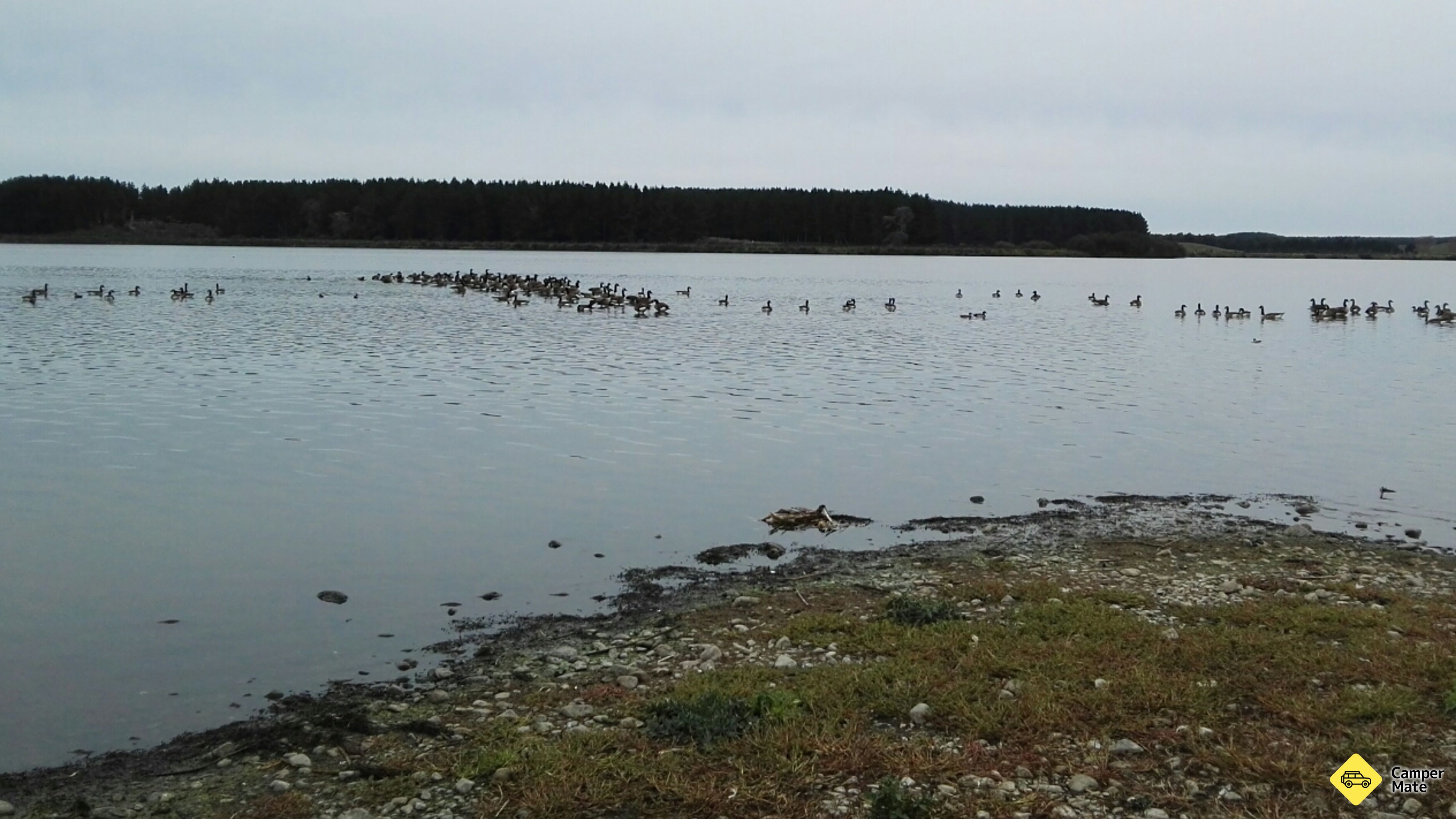 Lake Horowhenua